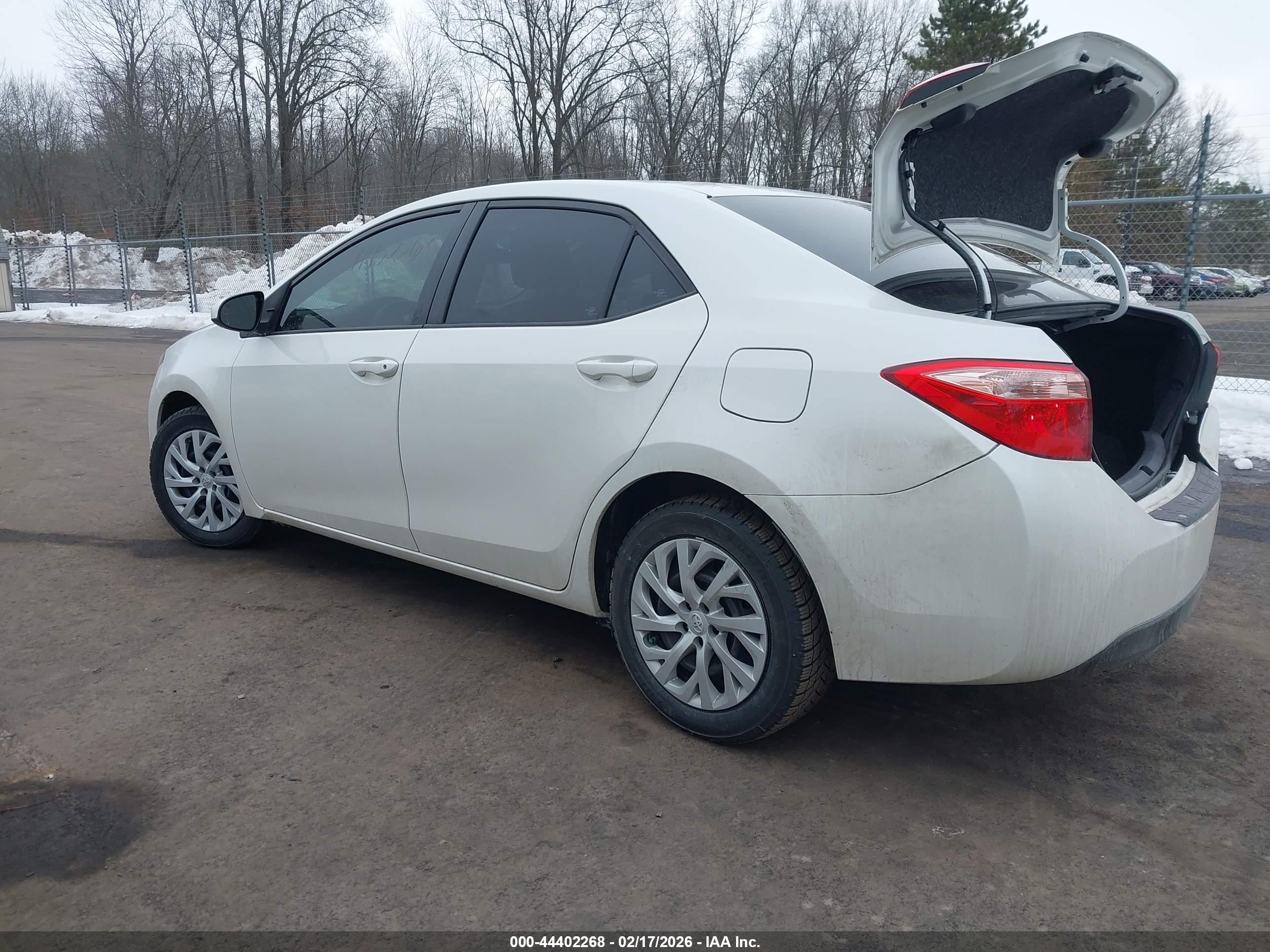 TOYOTA COROLLA image 3