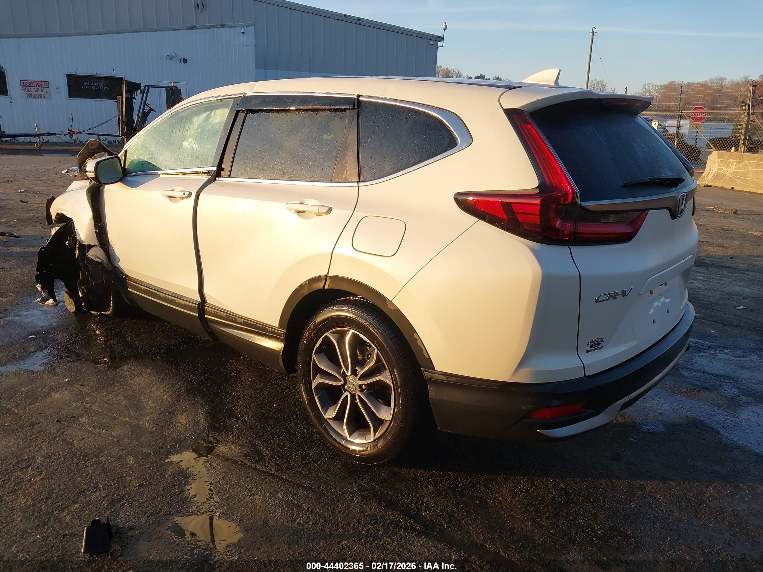 HONDA CR-V image 3