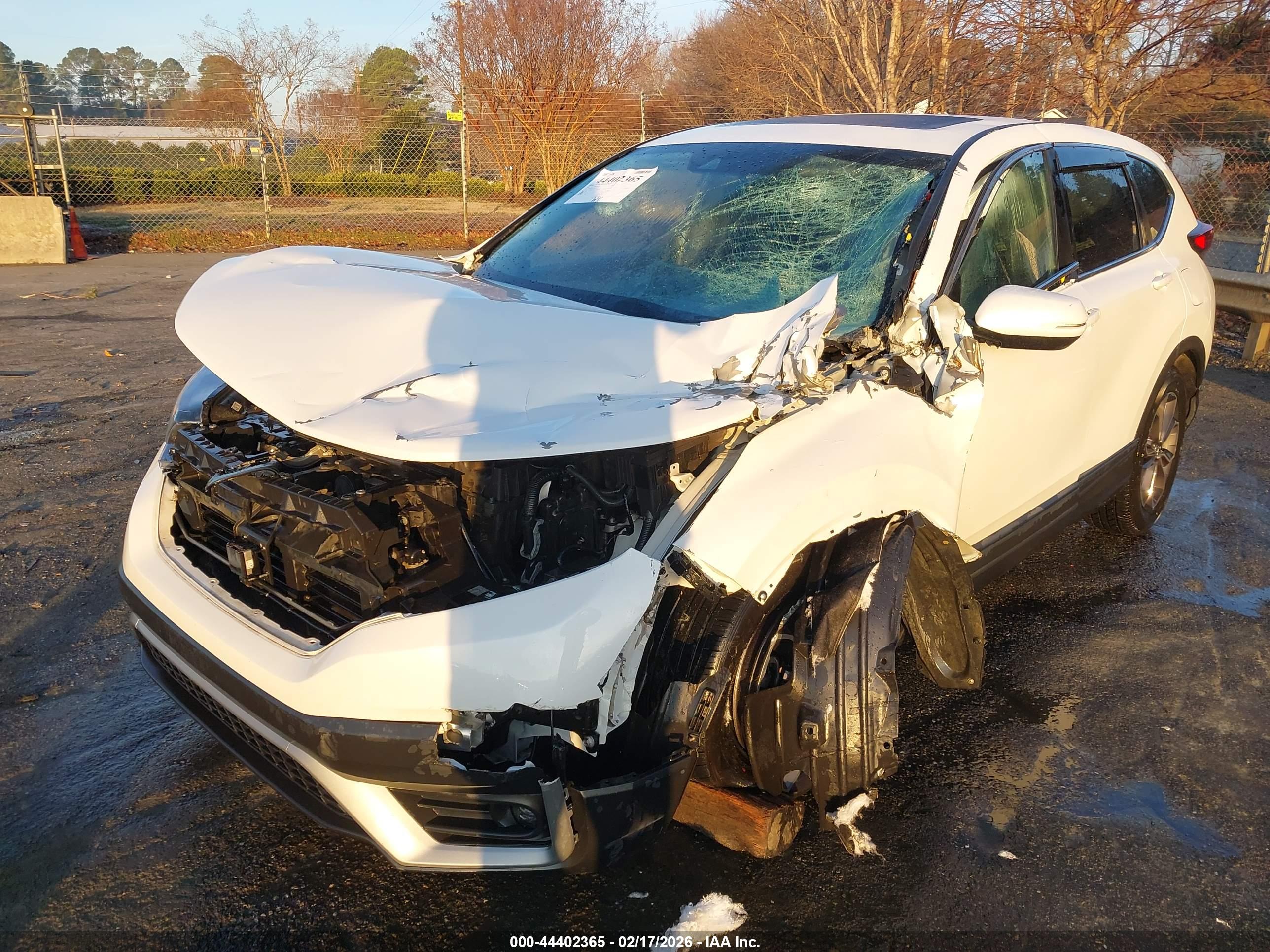 HONDA CR-V image 6