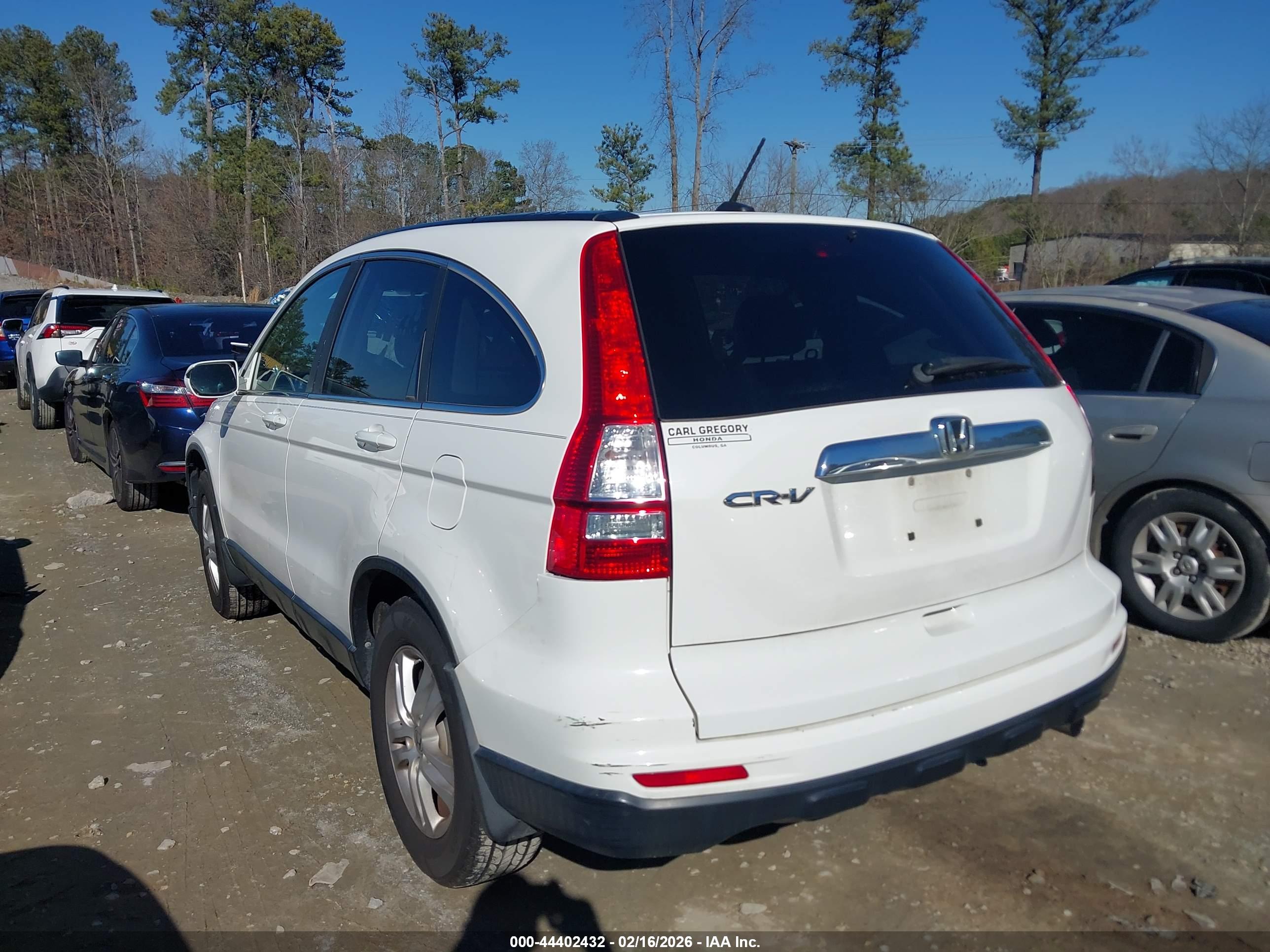 HONDA CR-V image 3