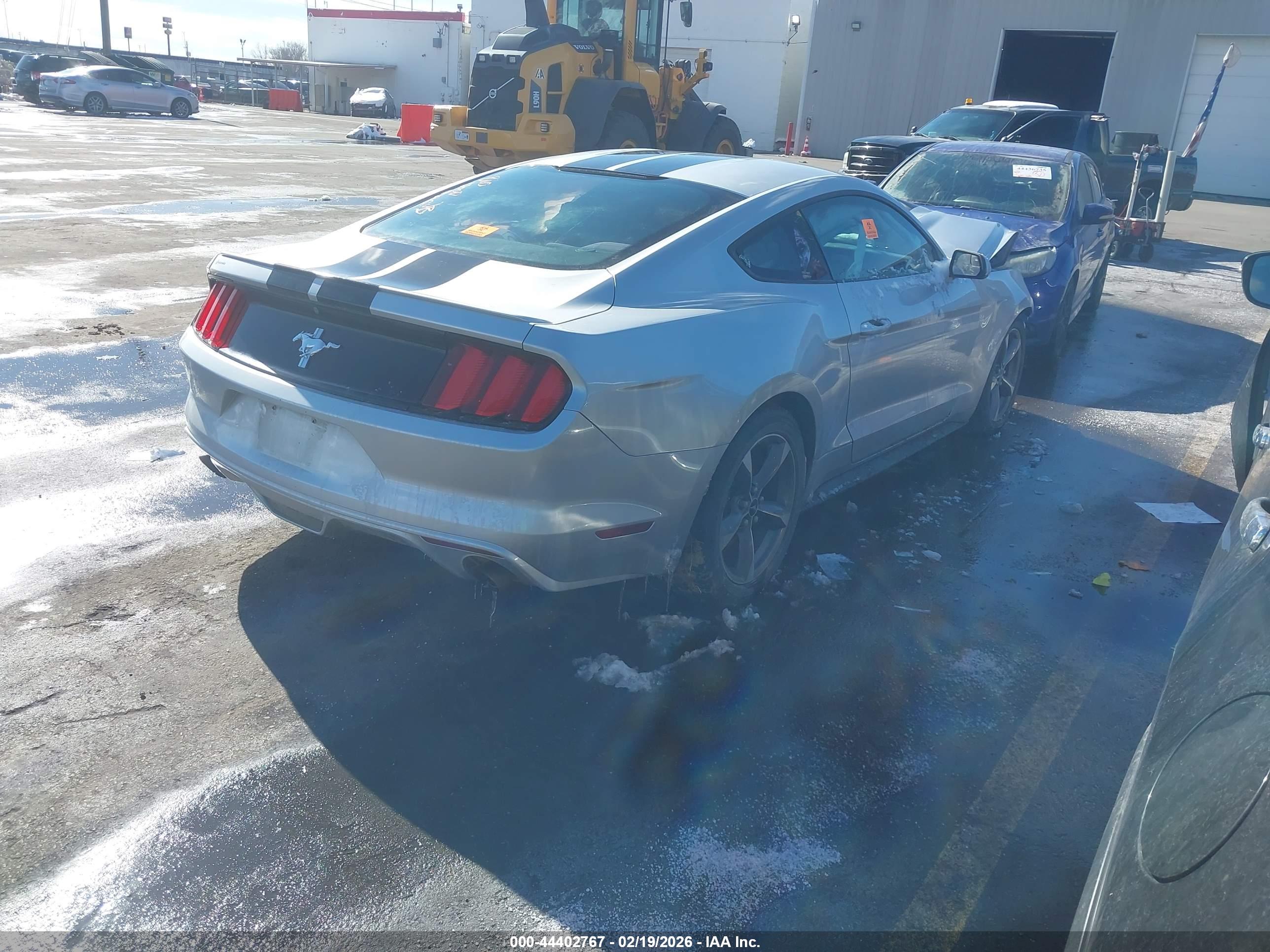 FORD MUSTANG image 4