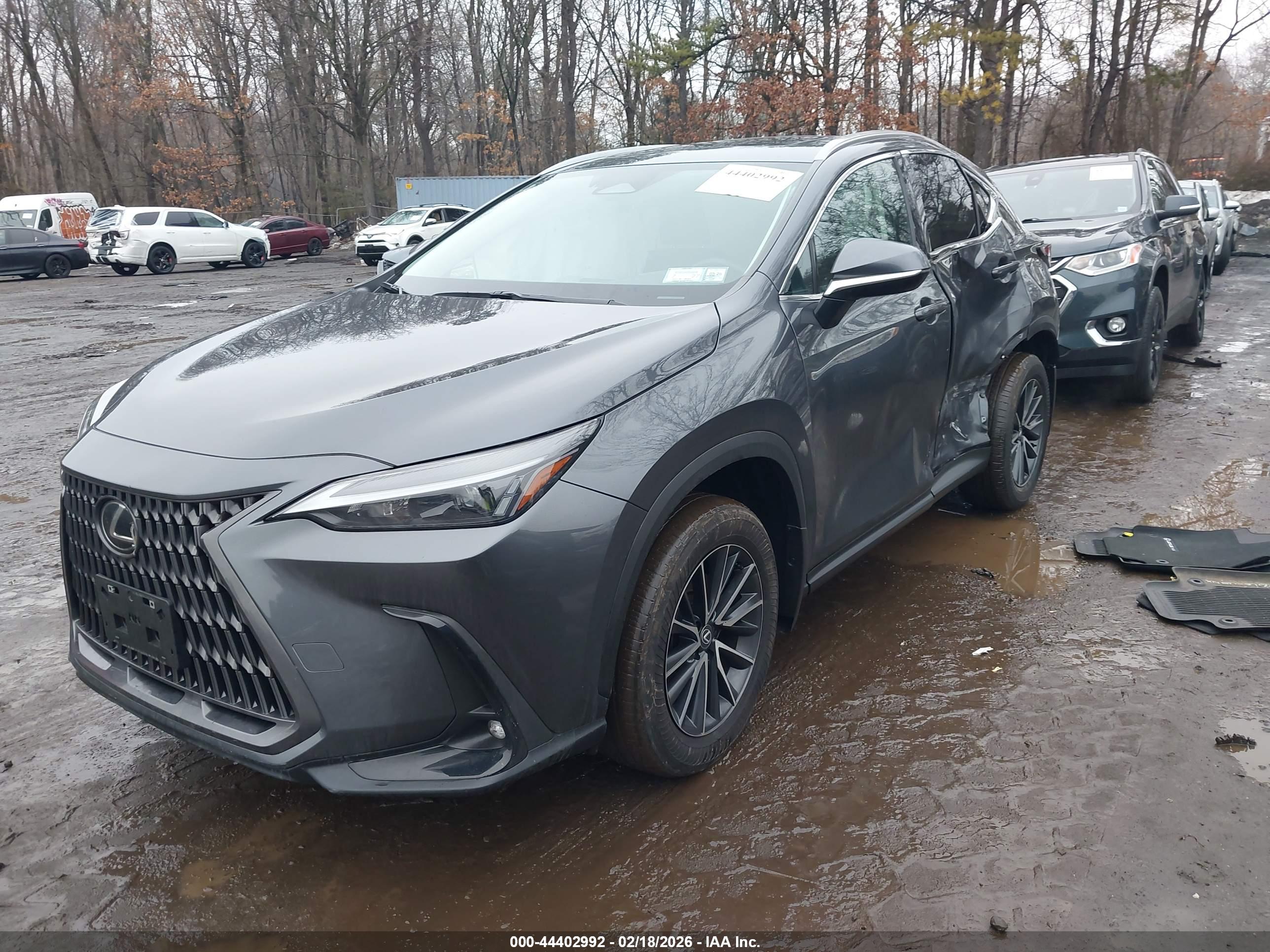 LEXUS NX image 2