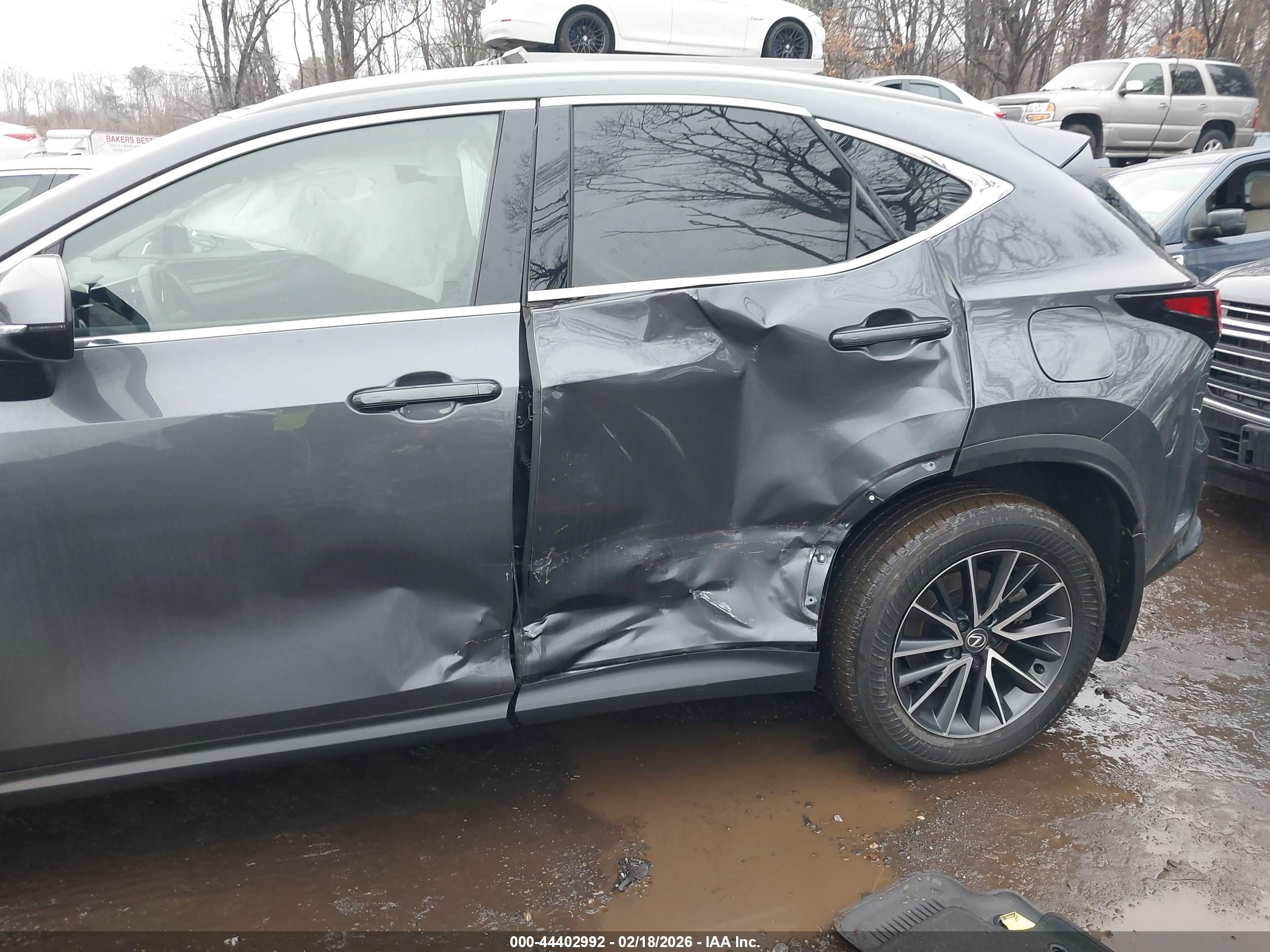 LEXUS NX image 6