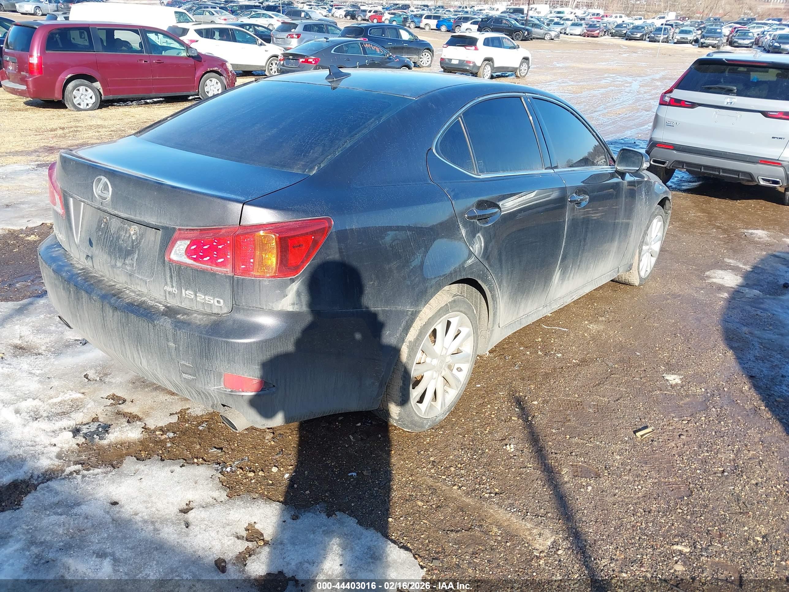 LEXUS IS image 4