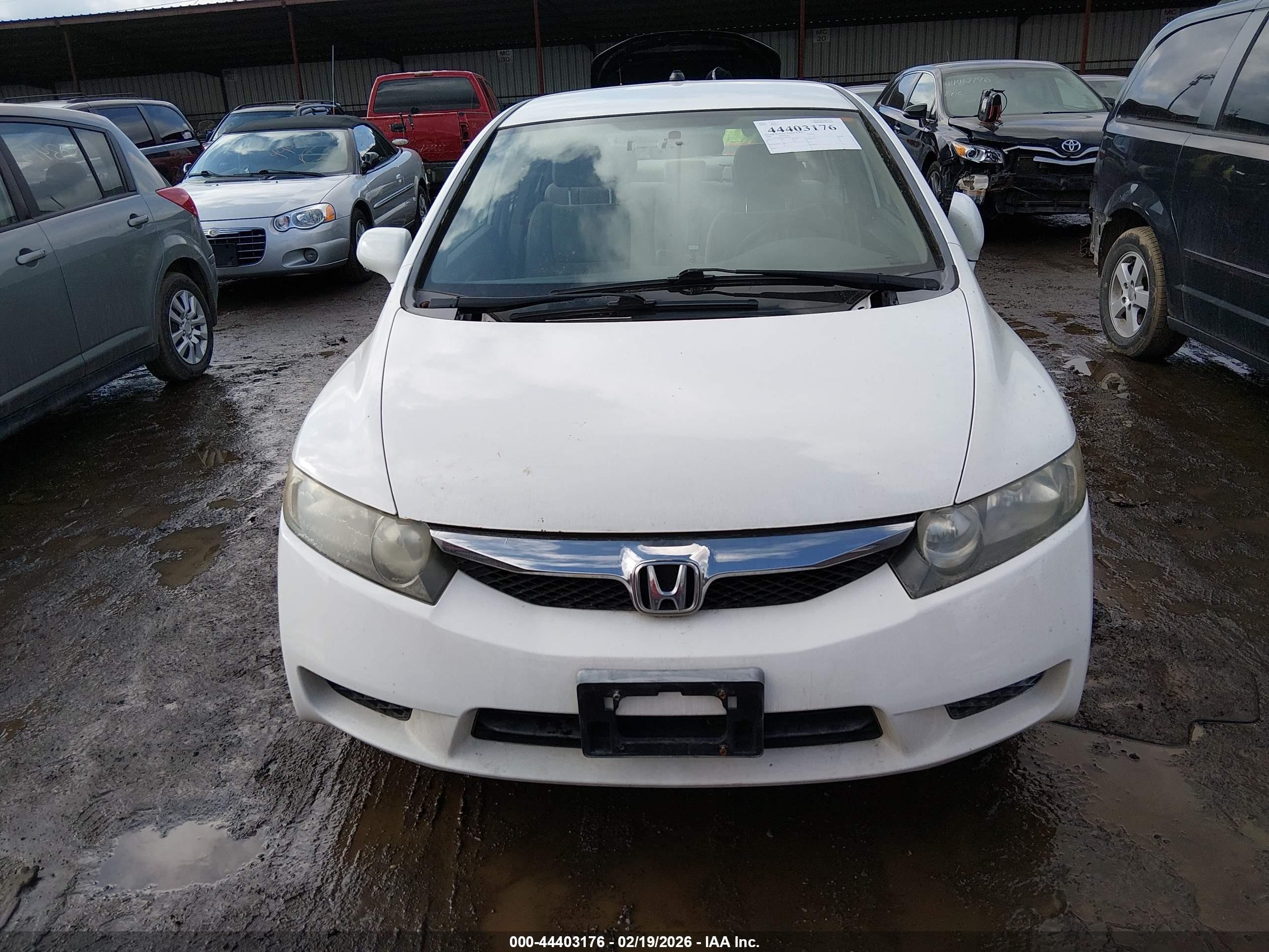 HONDA CIVIC image 6