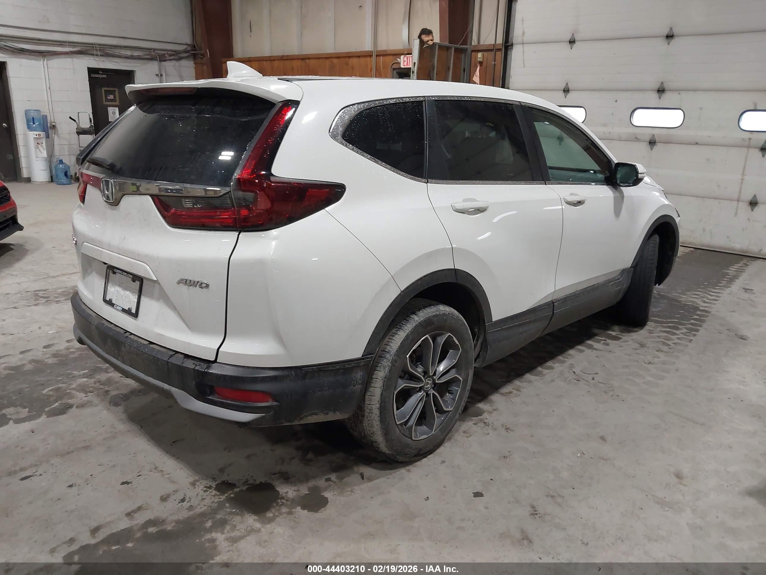 HONDA CR-V image 4