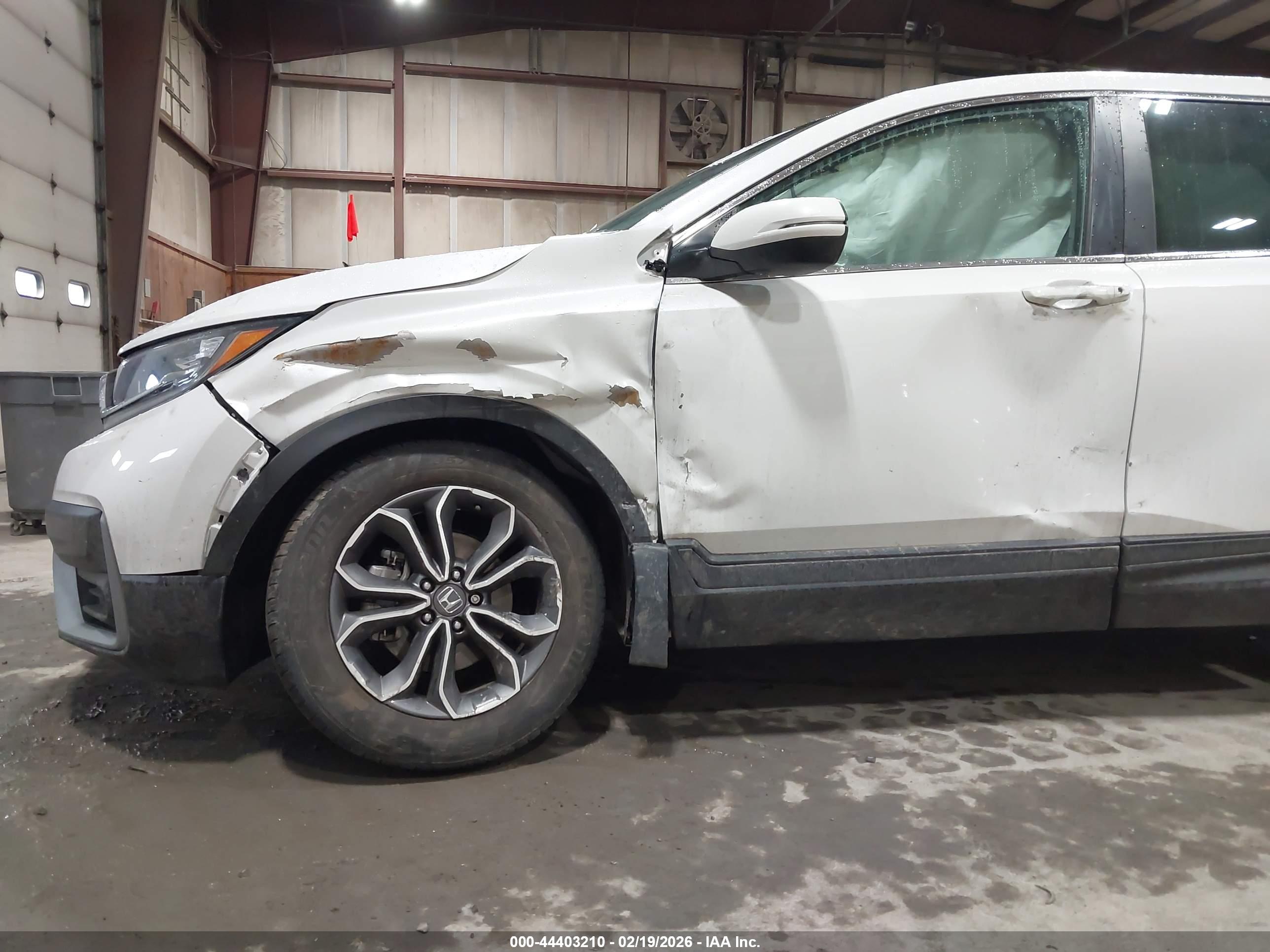 HONDA CR-V image 6