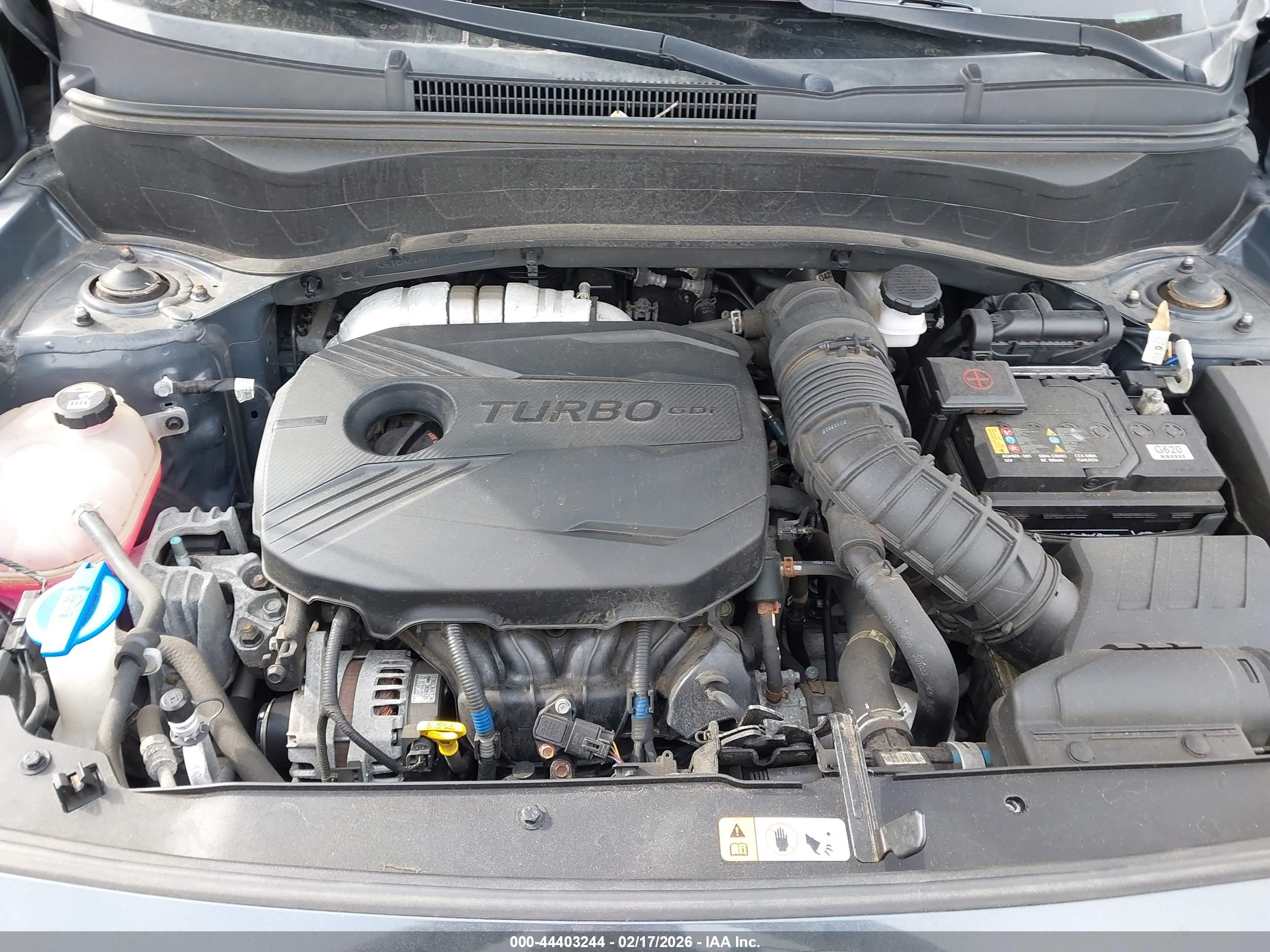 KIA SELTOS image 10