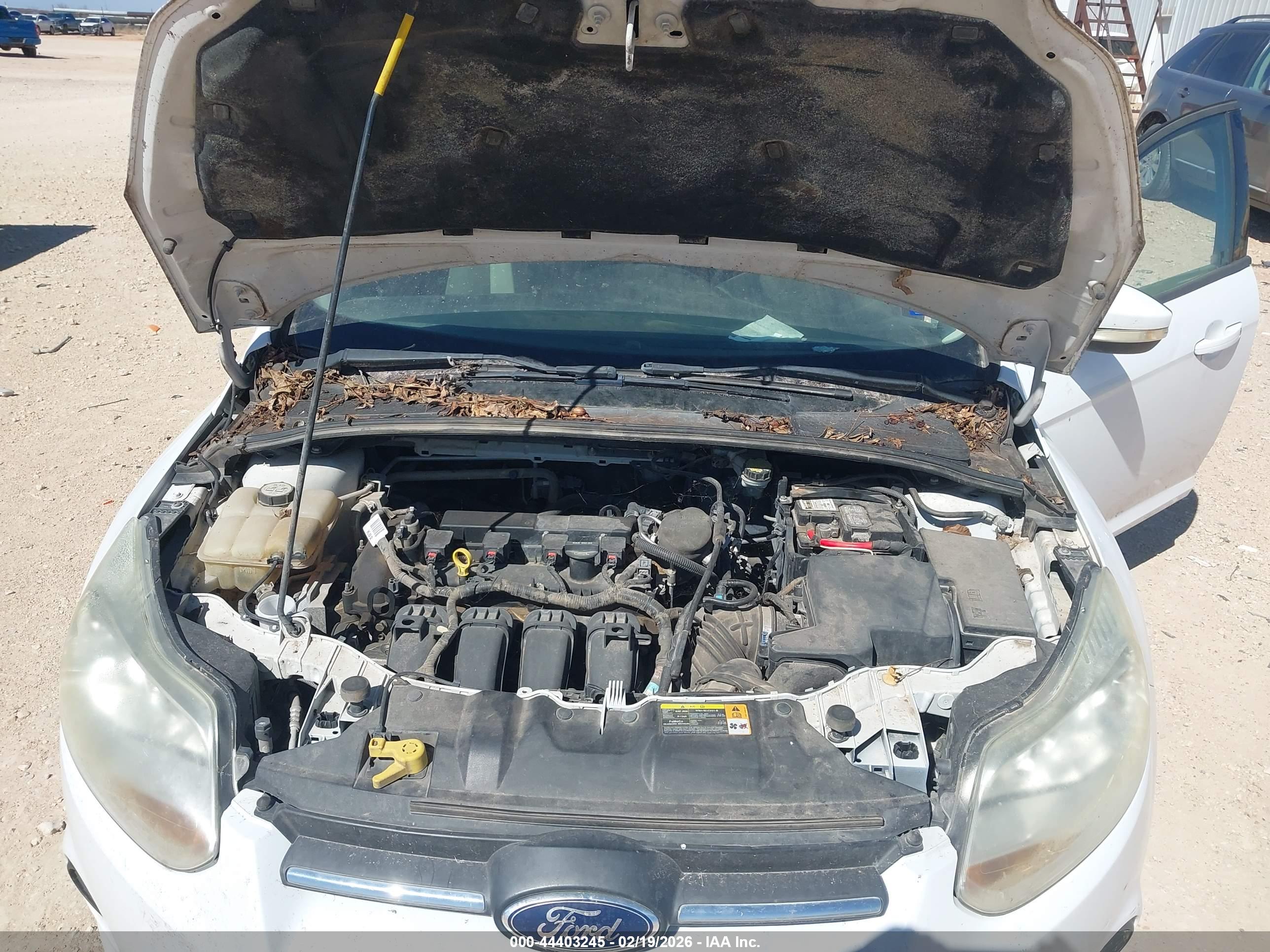 FORD FOCUS image 10