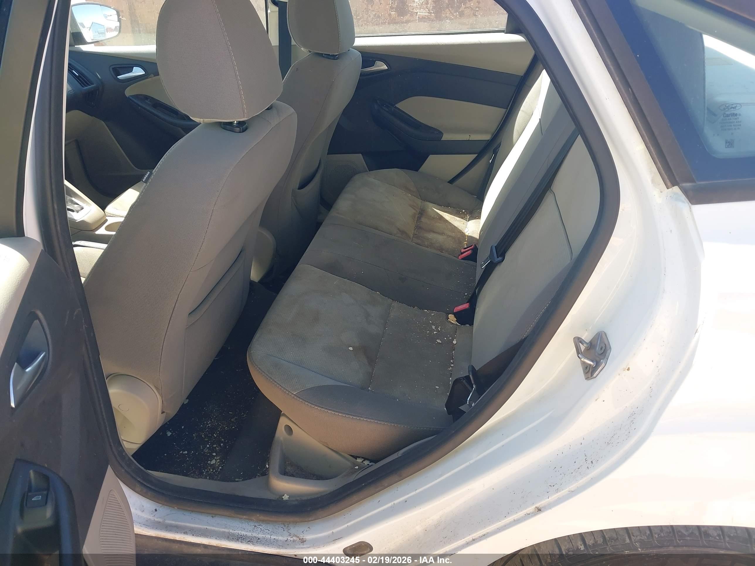 FORD FOCUS image 8