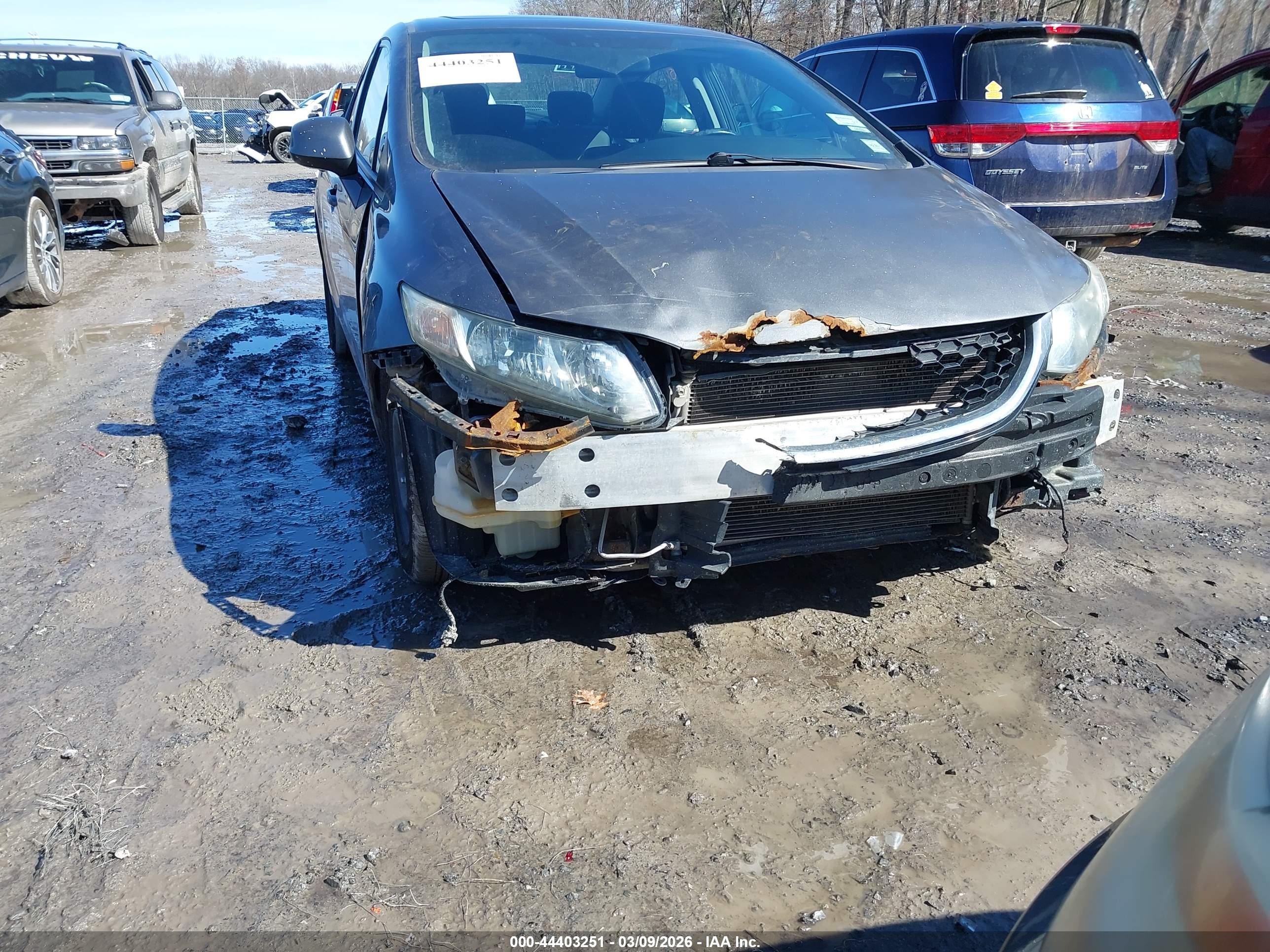 HONDA CIVIC image 6