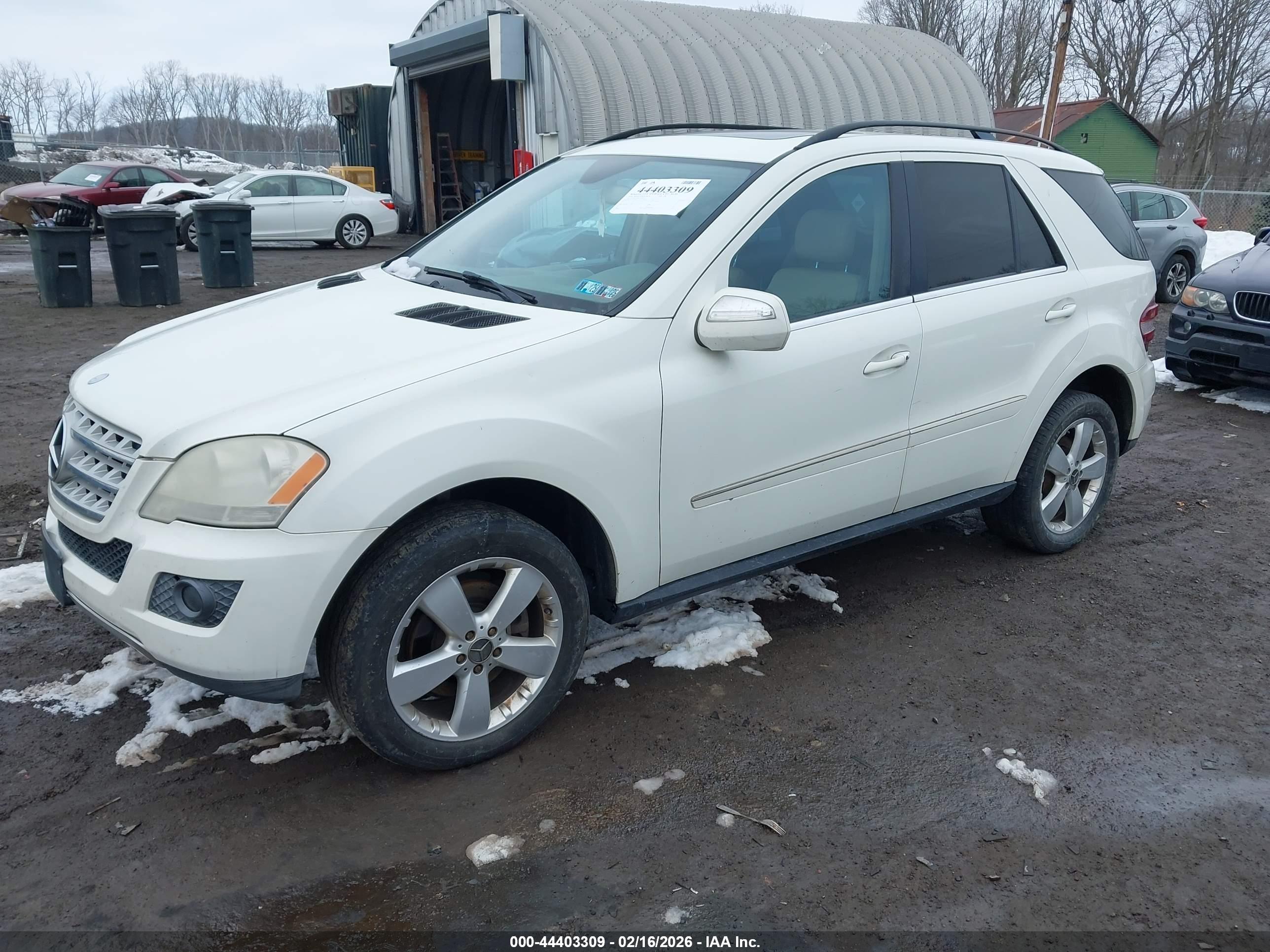 MERCEDES-BENZ ML image 2