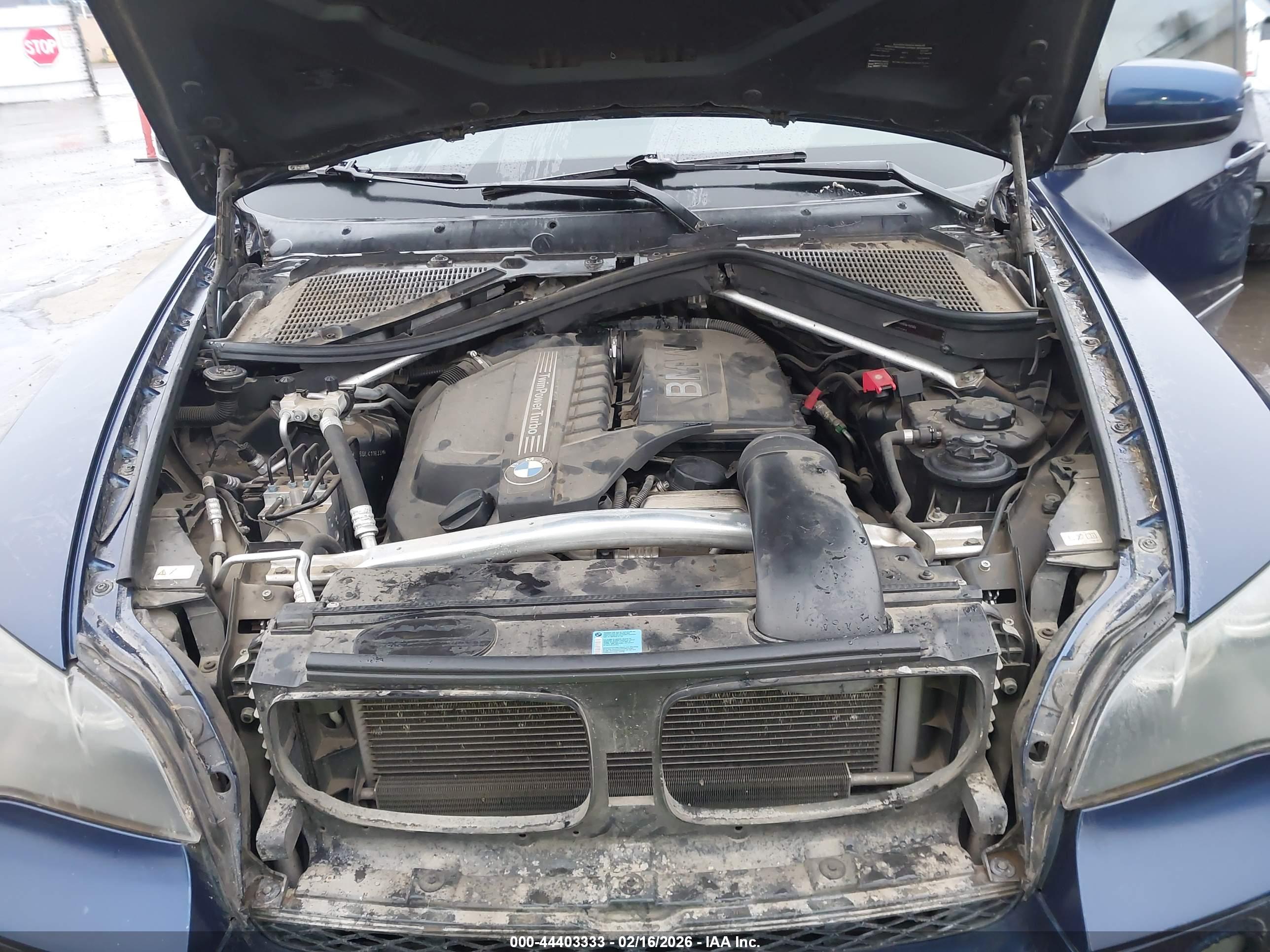 BMW X5 image 10