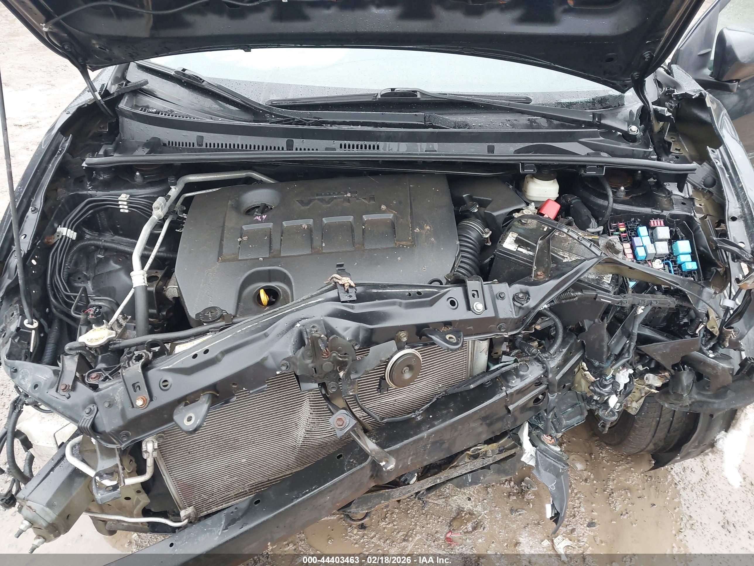 TOYOTA COROLLA image 10