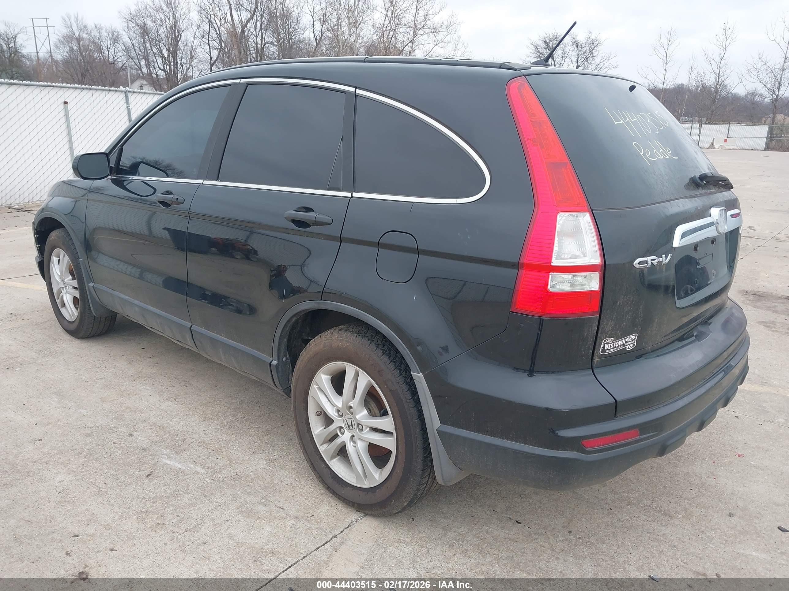 HONDA CR-V image 3