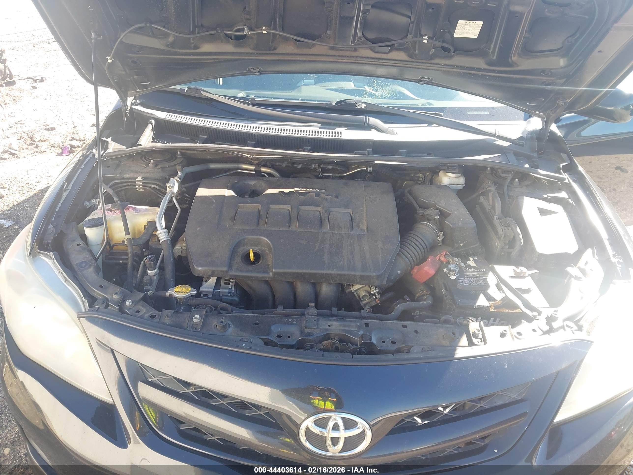 TOYOTA COROLLA image 10