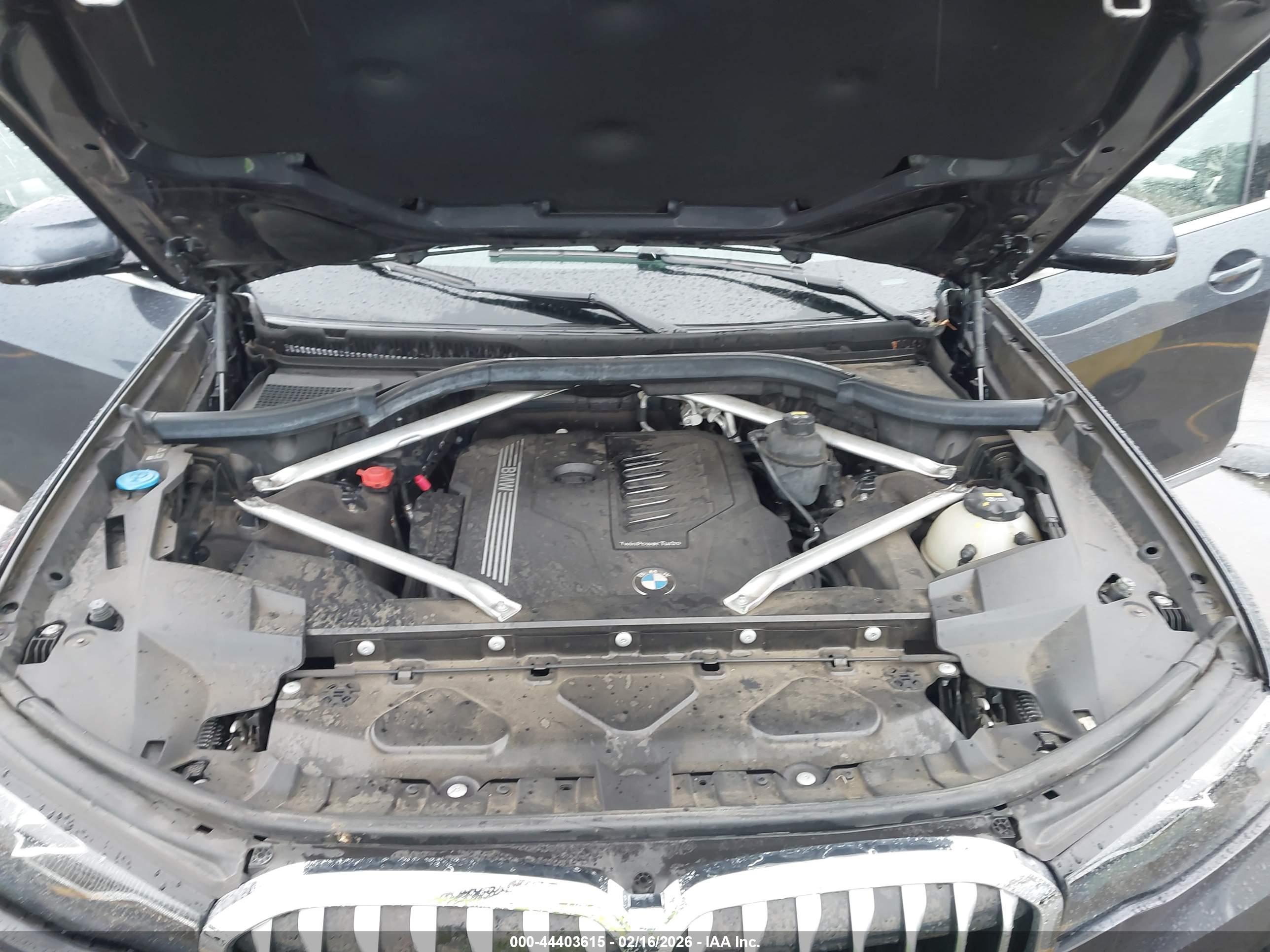 BMW X7 image 10