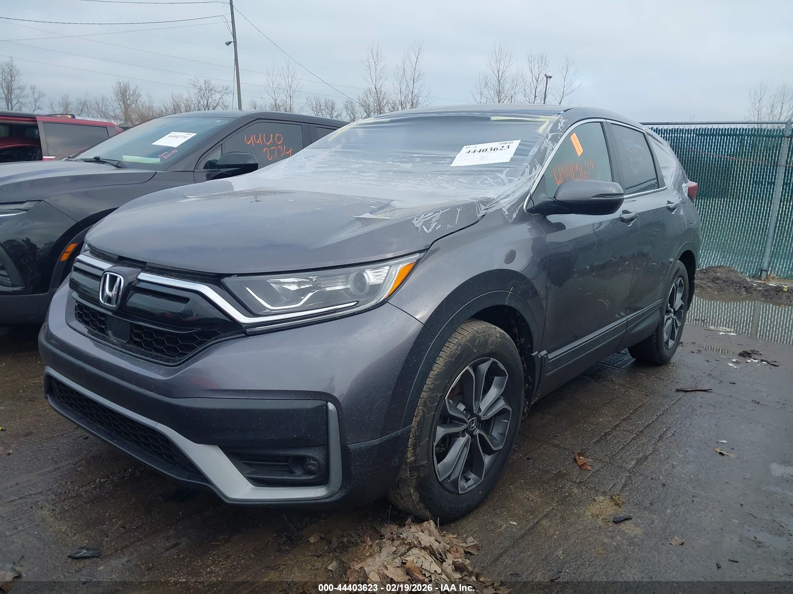 HONDA CR-V image 2