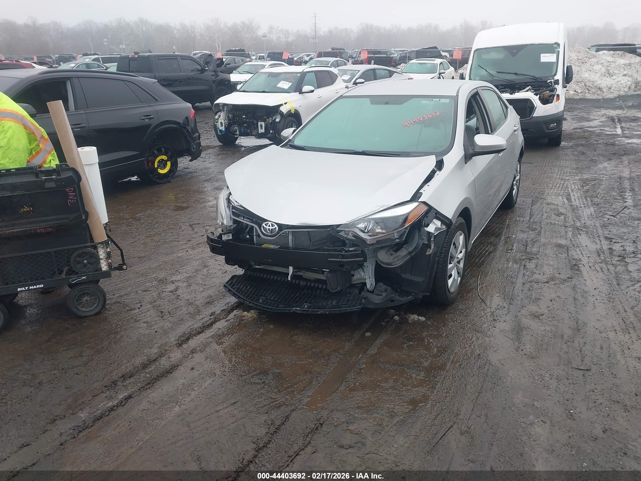 TOYOTA COROLLA image 2
