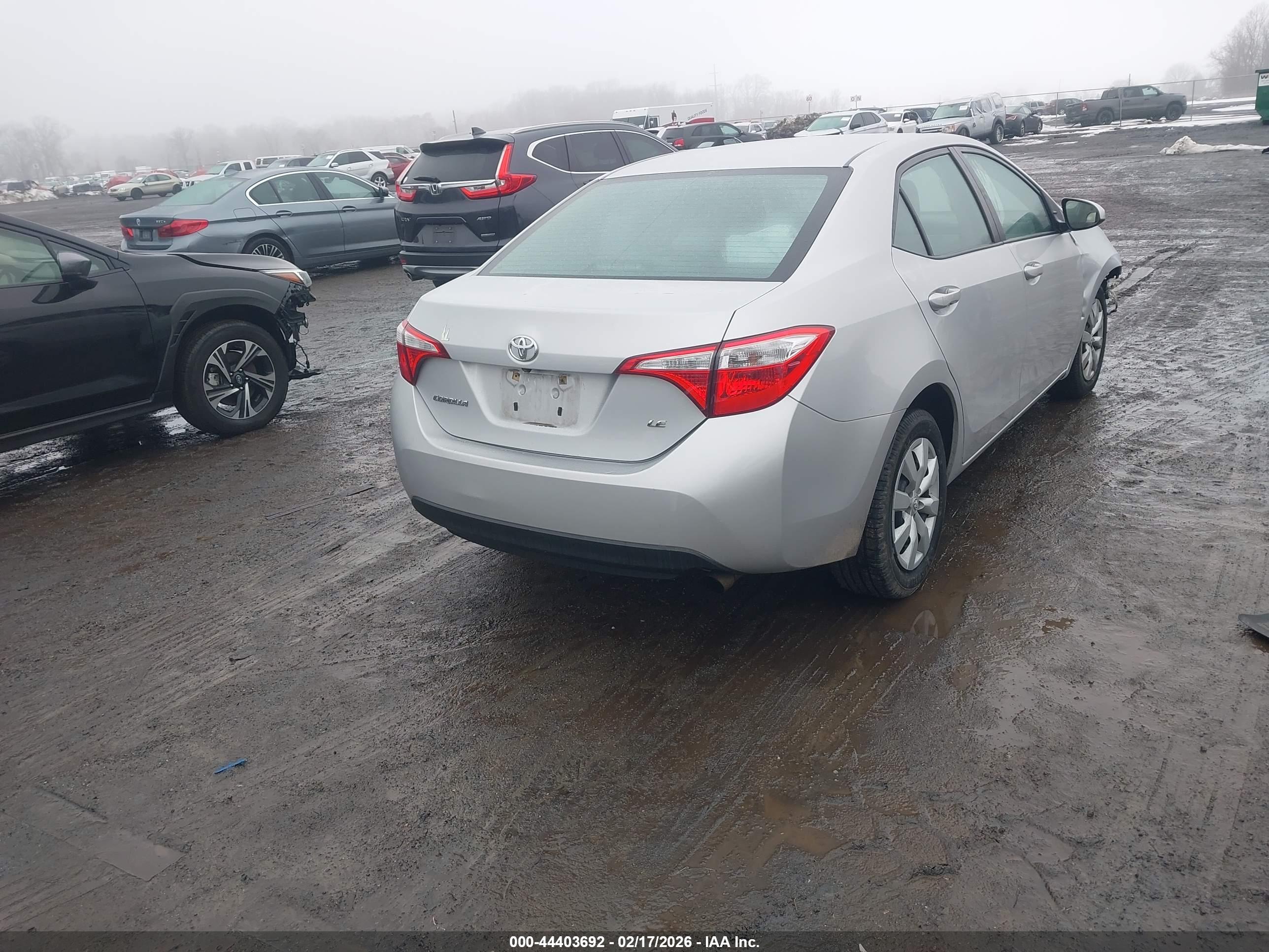 TOYOTA COROLLA image 4
