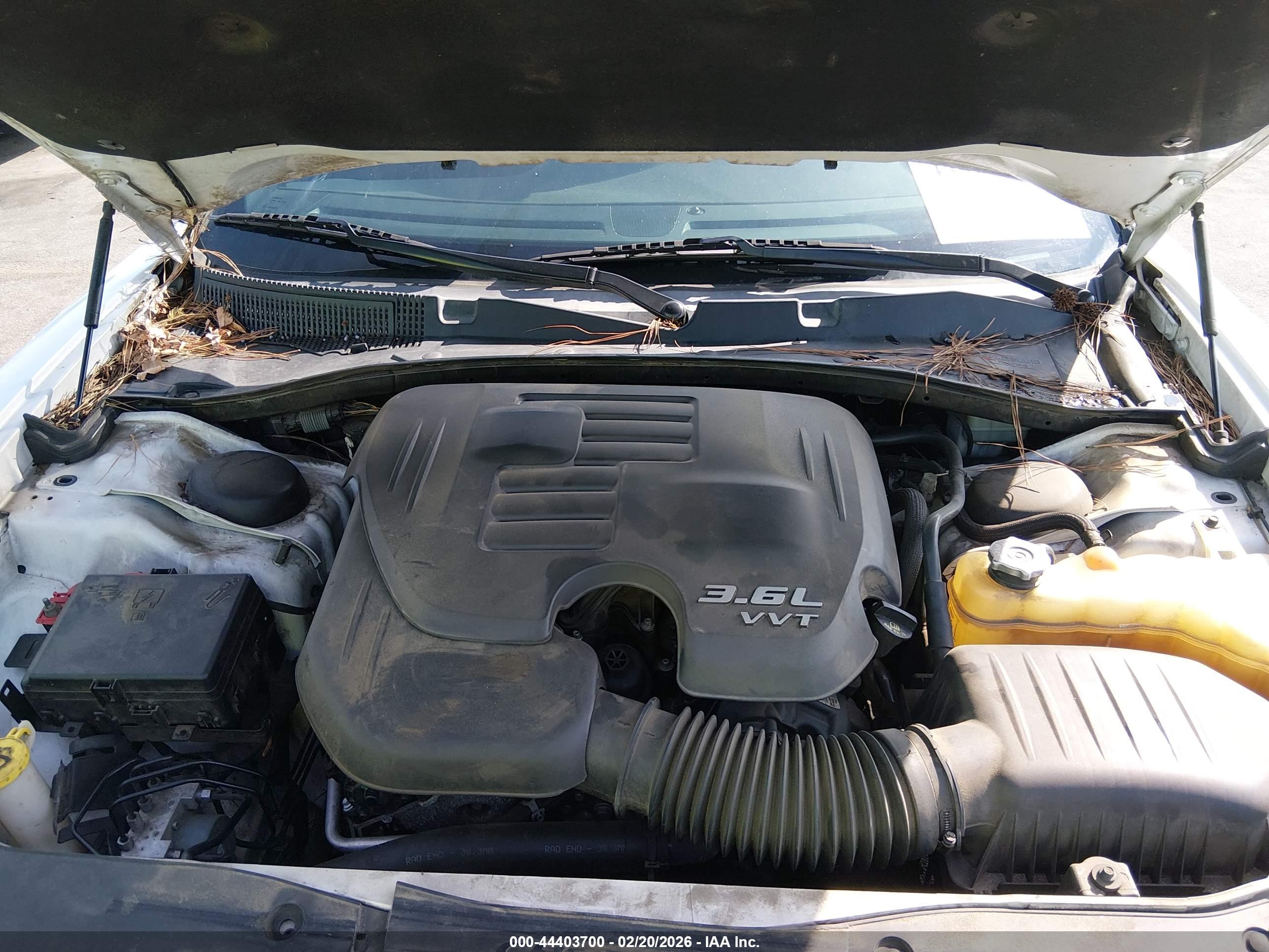 DODGE CHARGER image 10