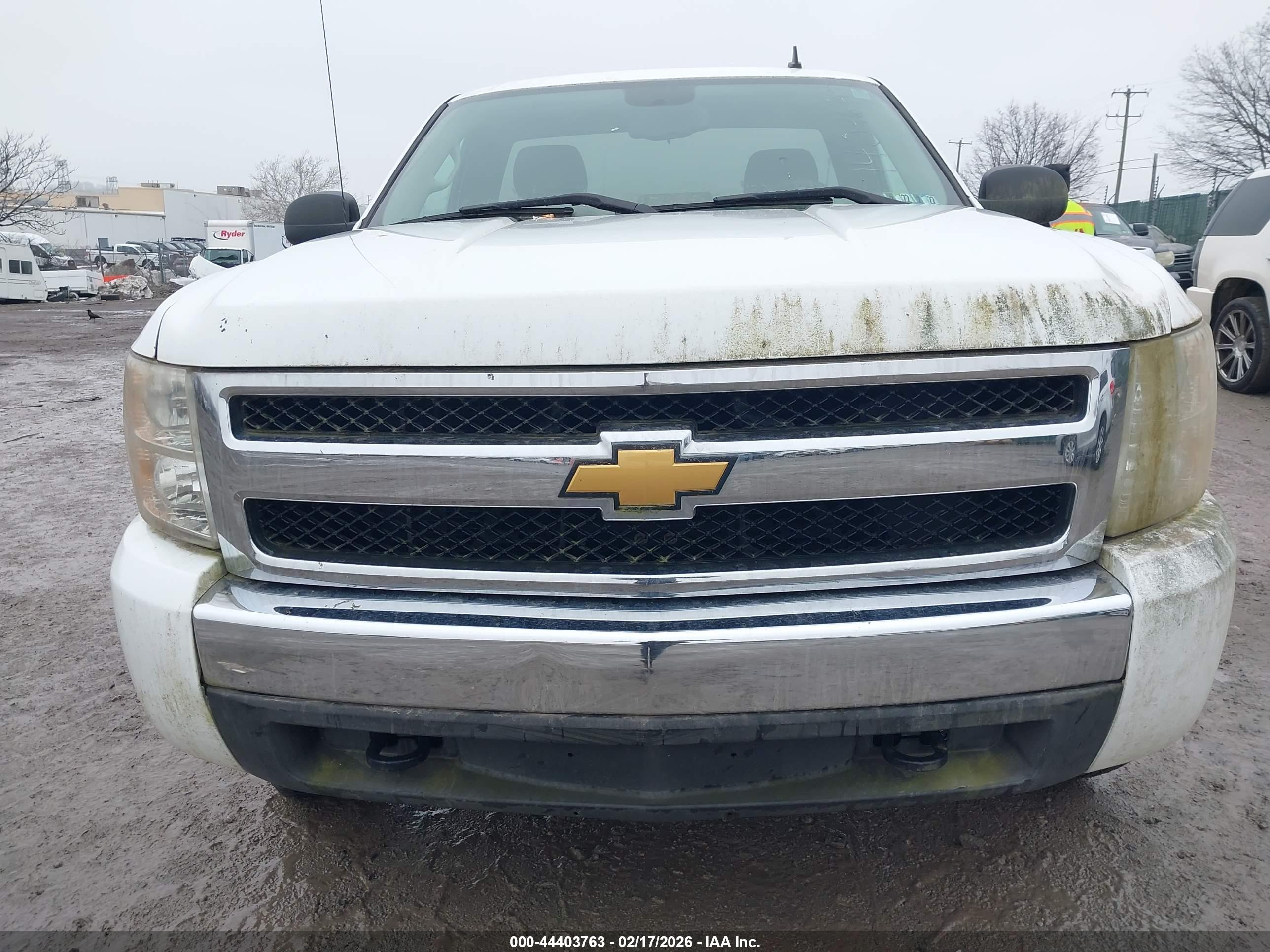 CHEVROLET SILVERADO image 6