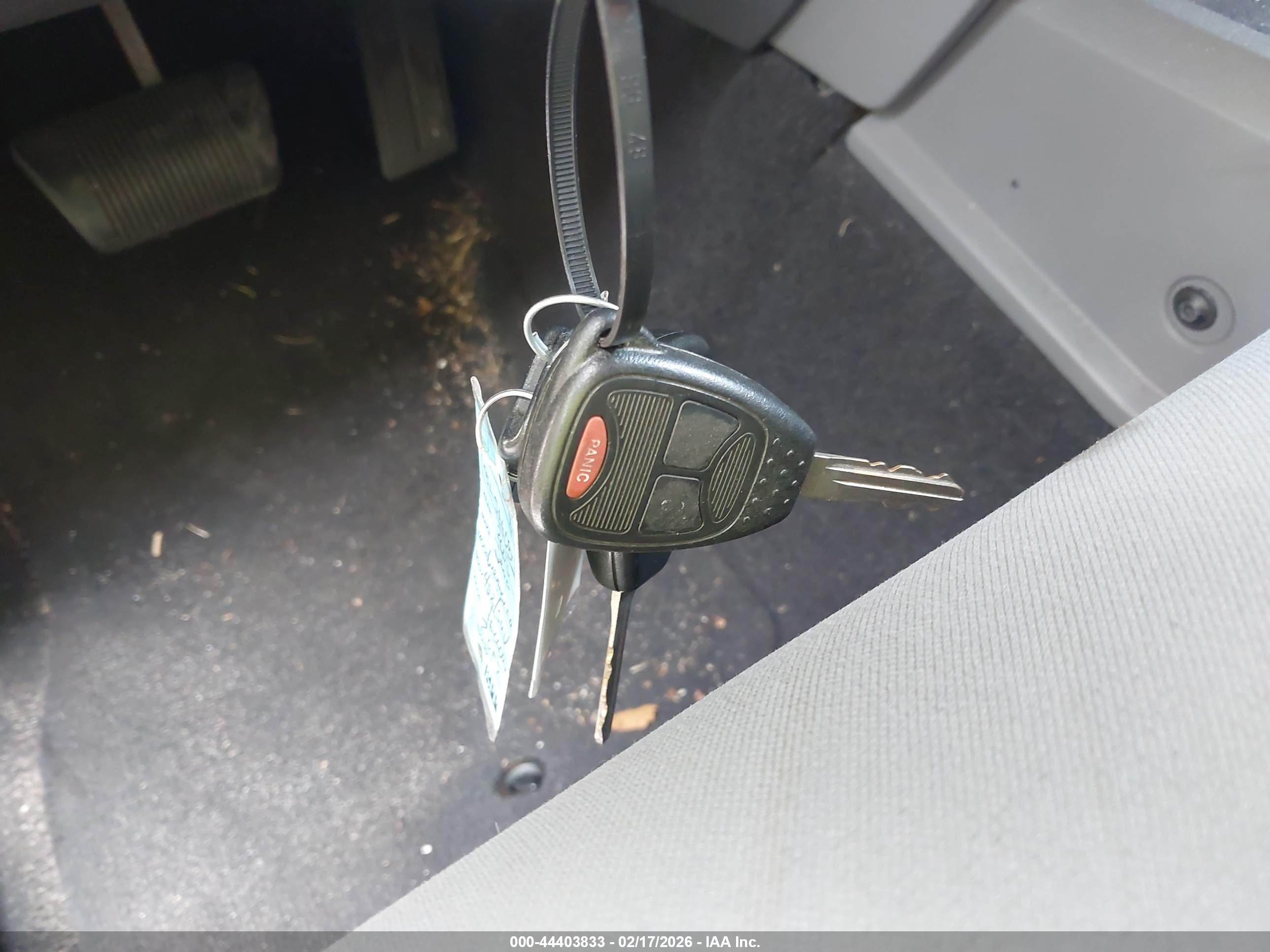 JEEP WRANGLER image 11