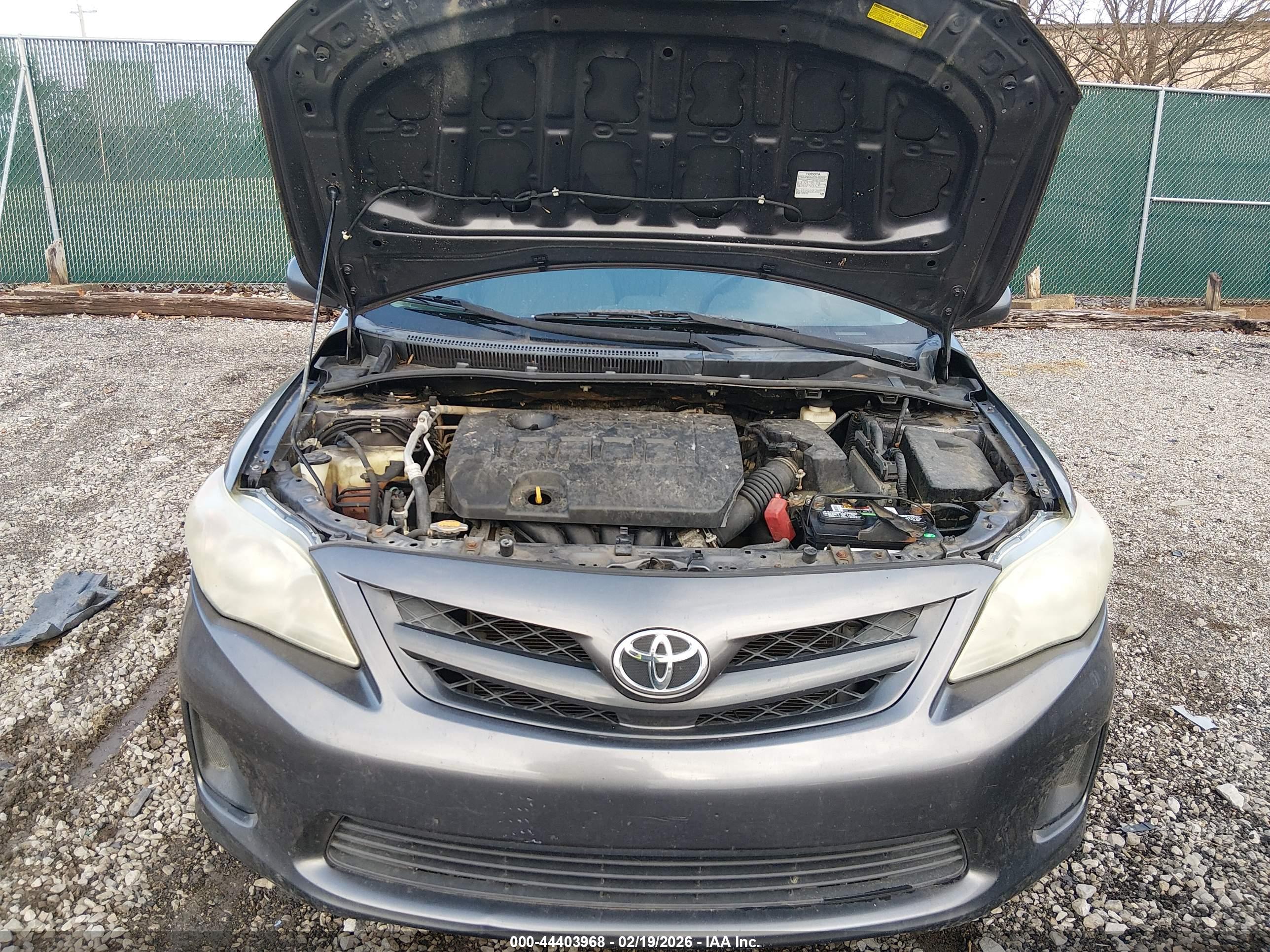 TOYOTA COROLLA image 10