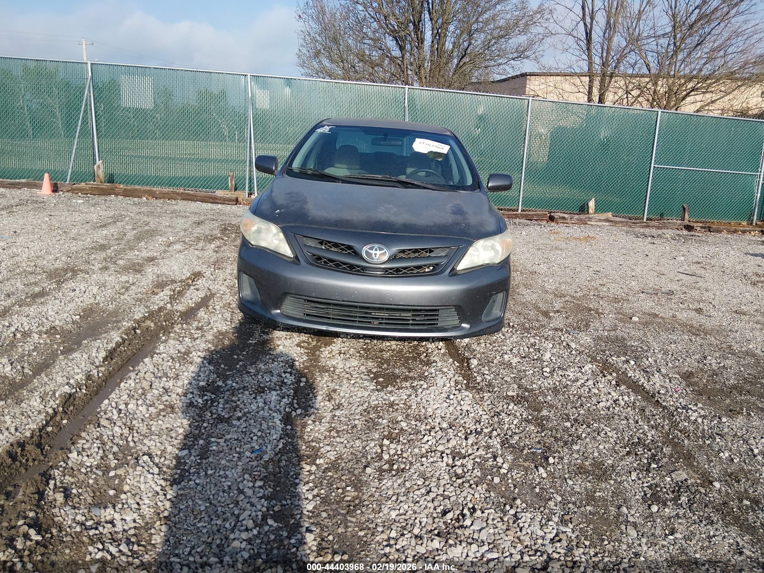 TOYOTA COROLLA image 6