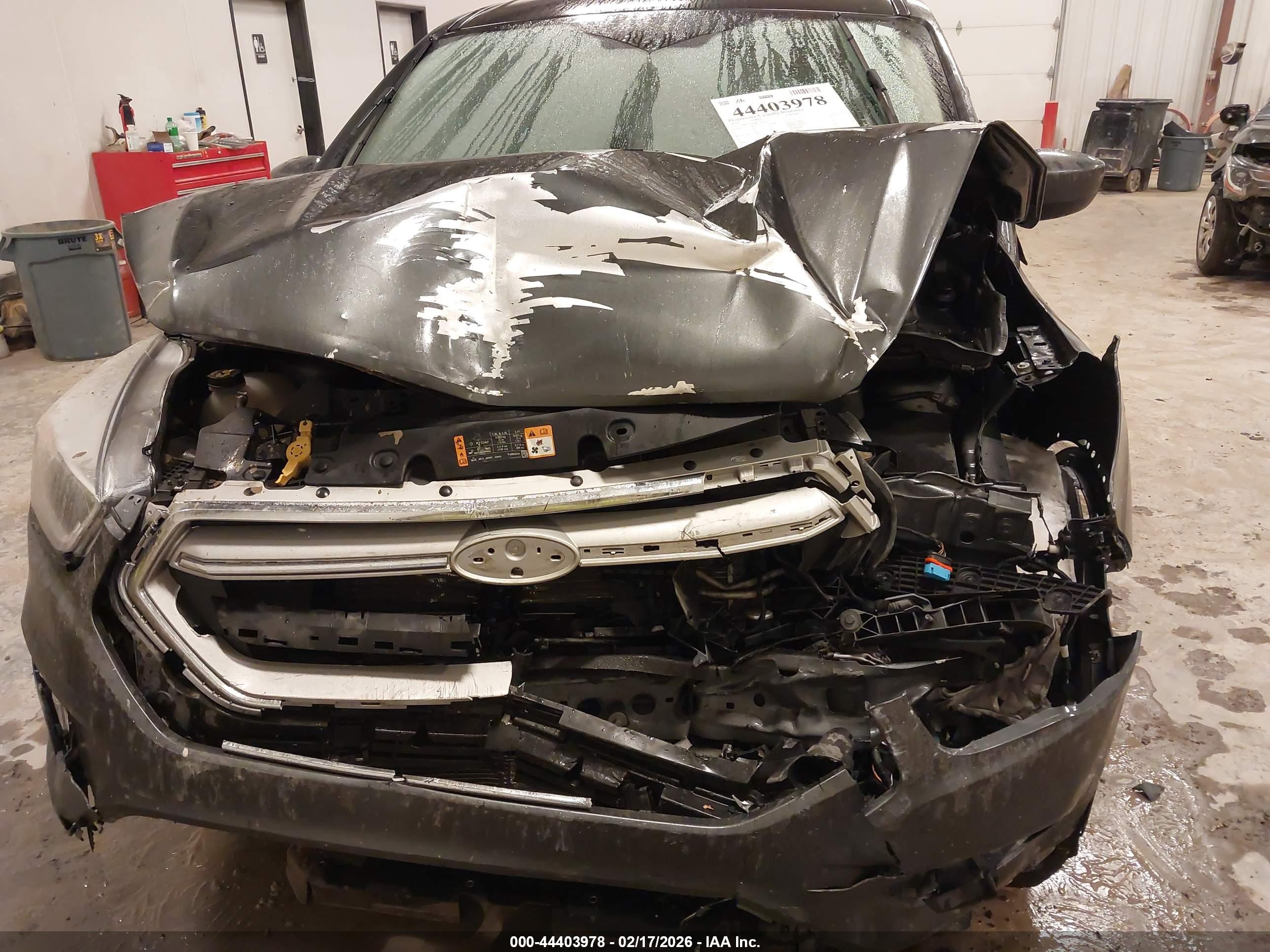 FORD ESCAPE image 6