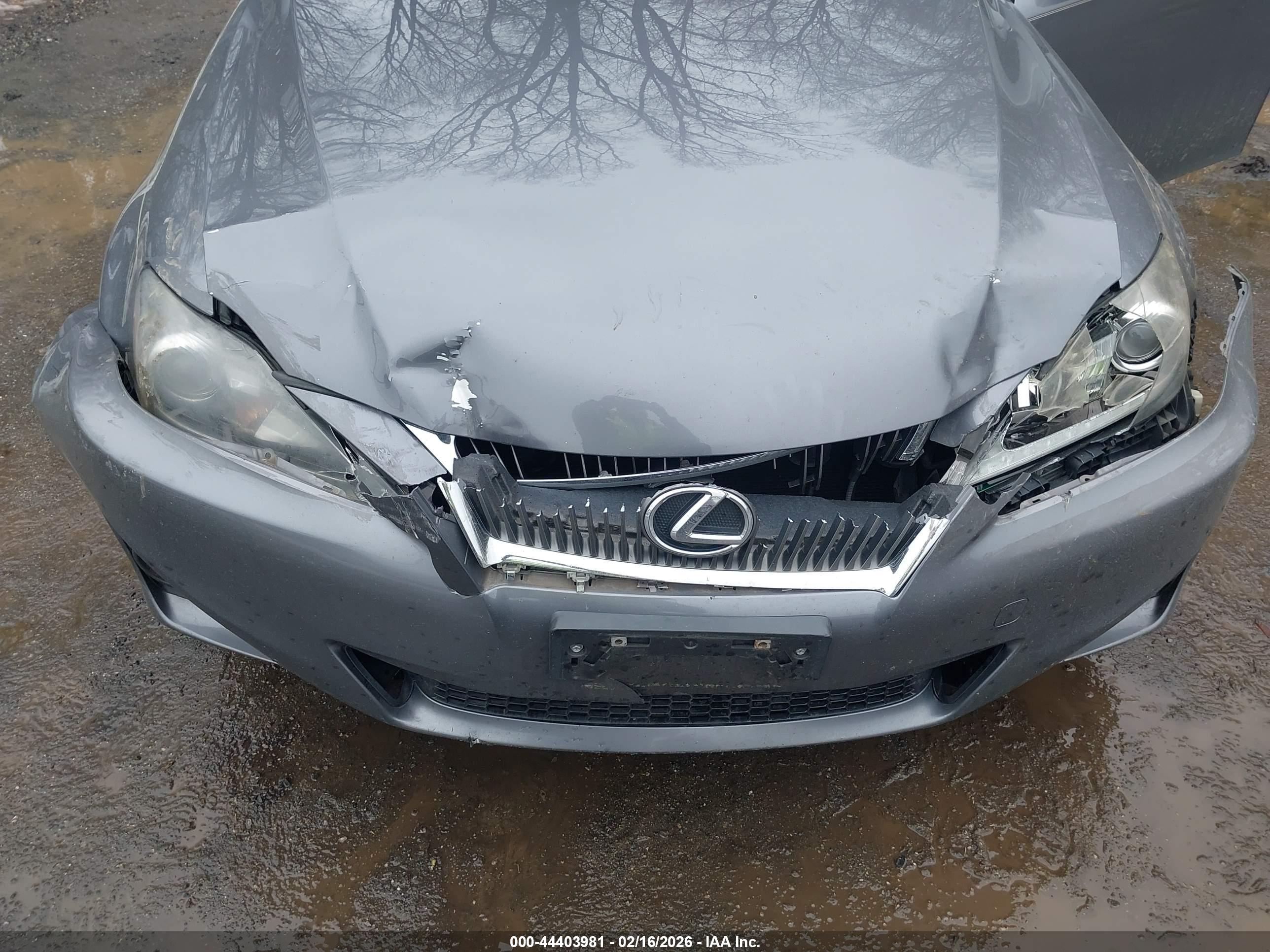 LEXUS IS image 6