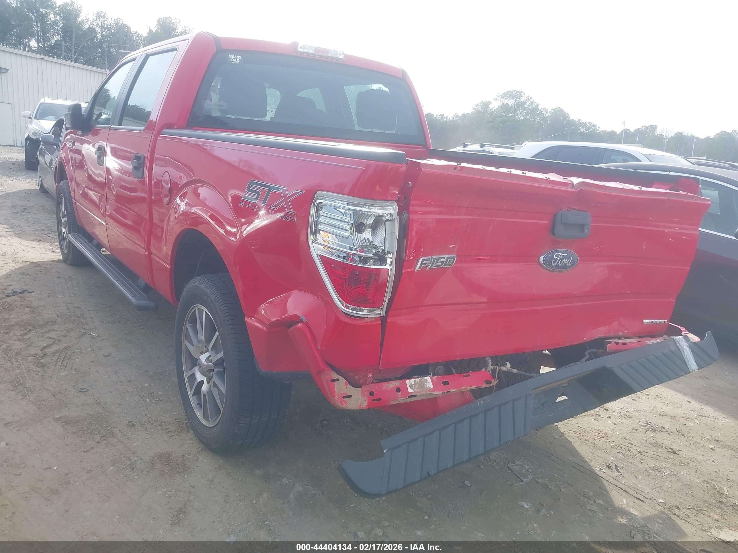 FORD F-150 image 6