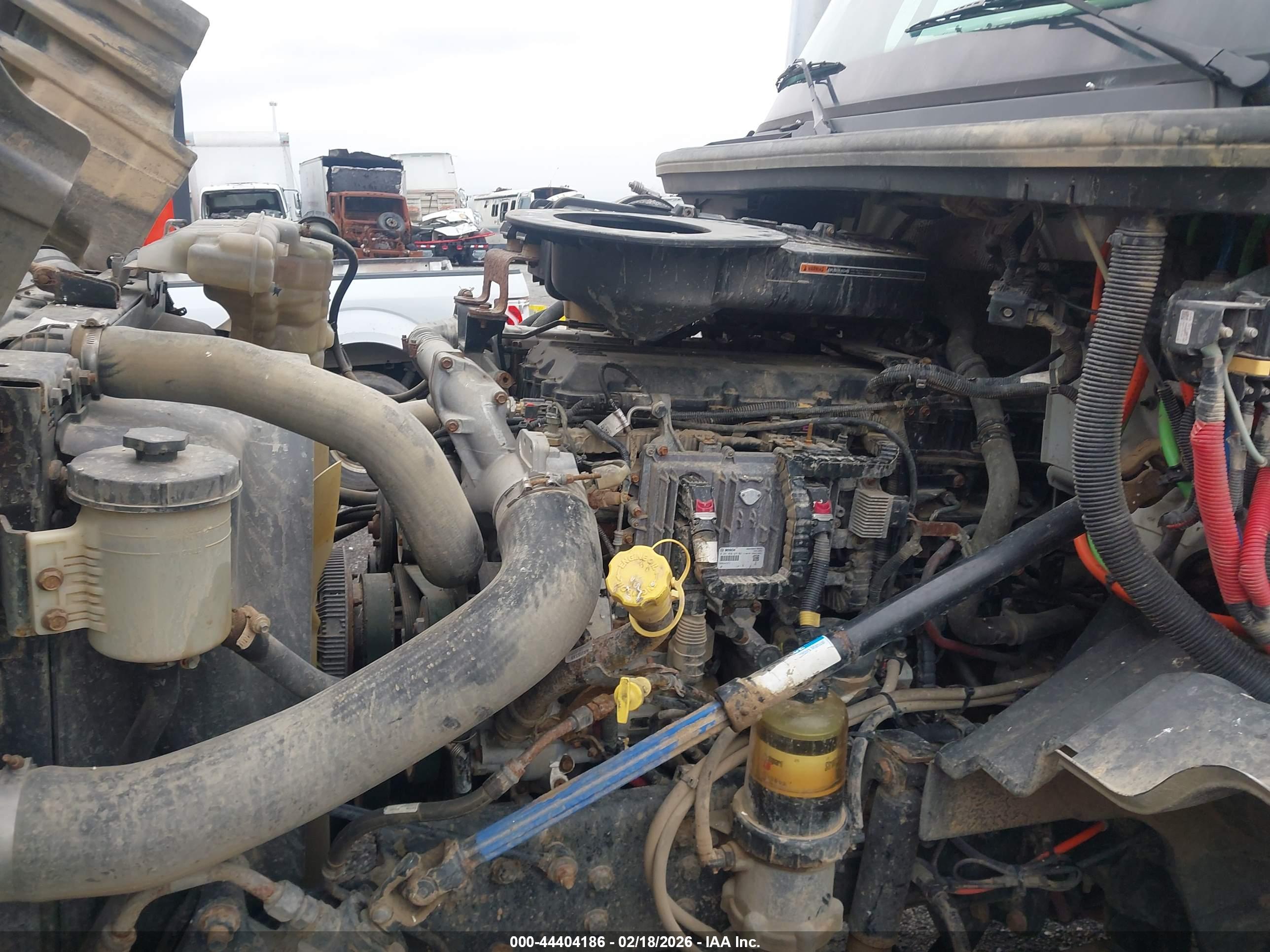 INTERNATIONAL LT image 10