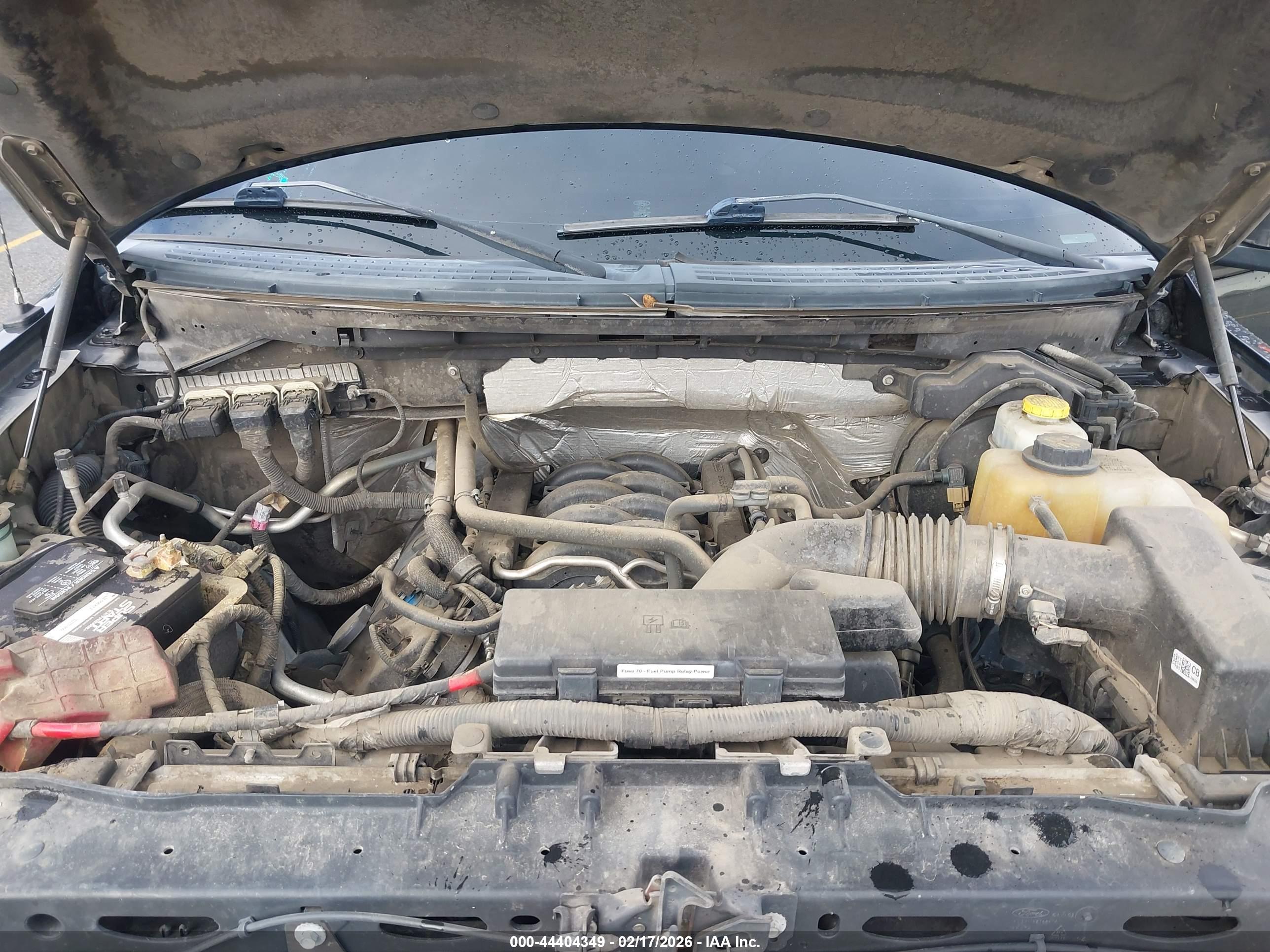 FORD F-150 image 10