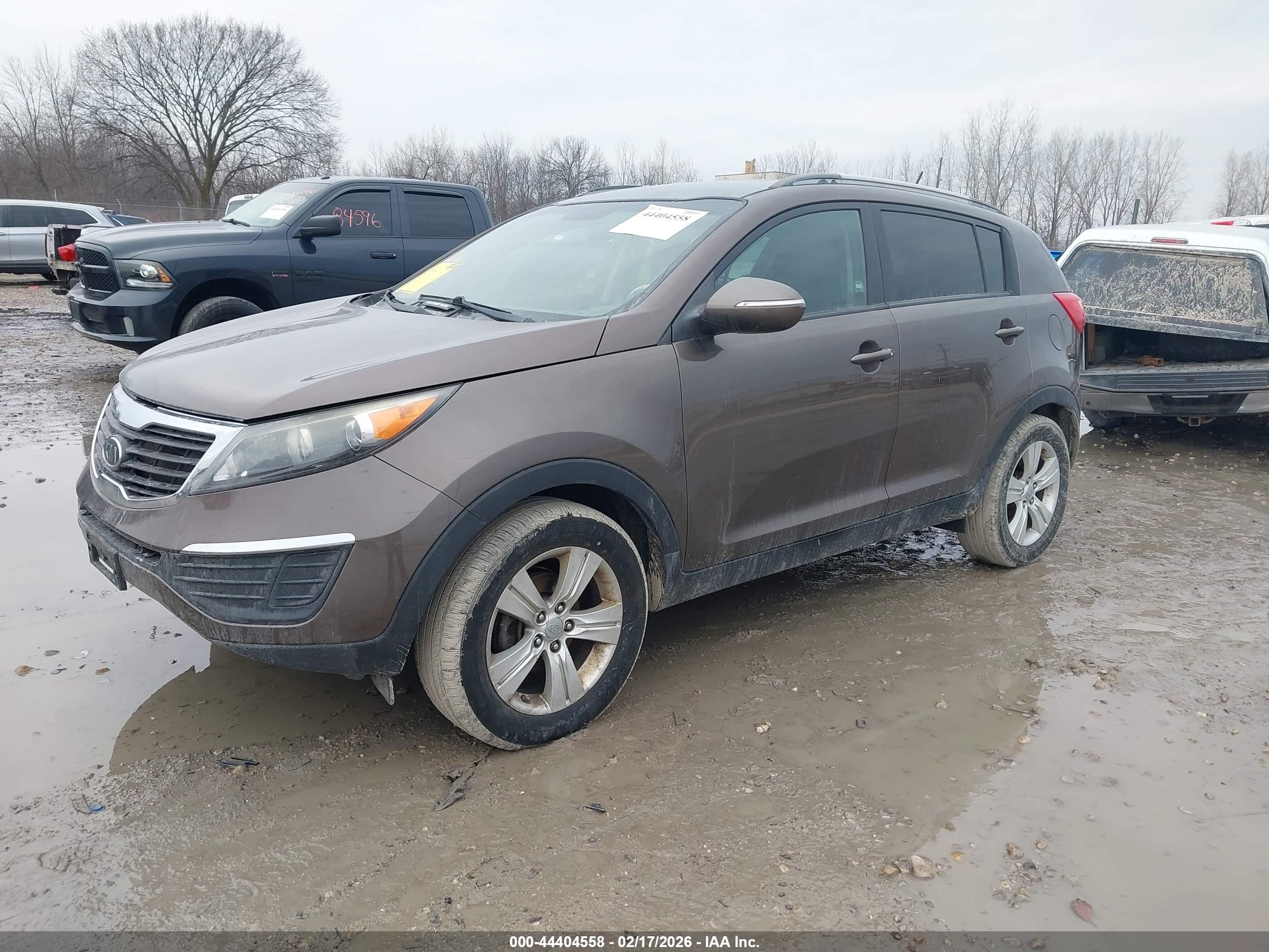 KIA SPORTAGE image 2