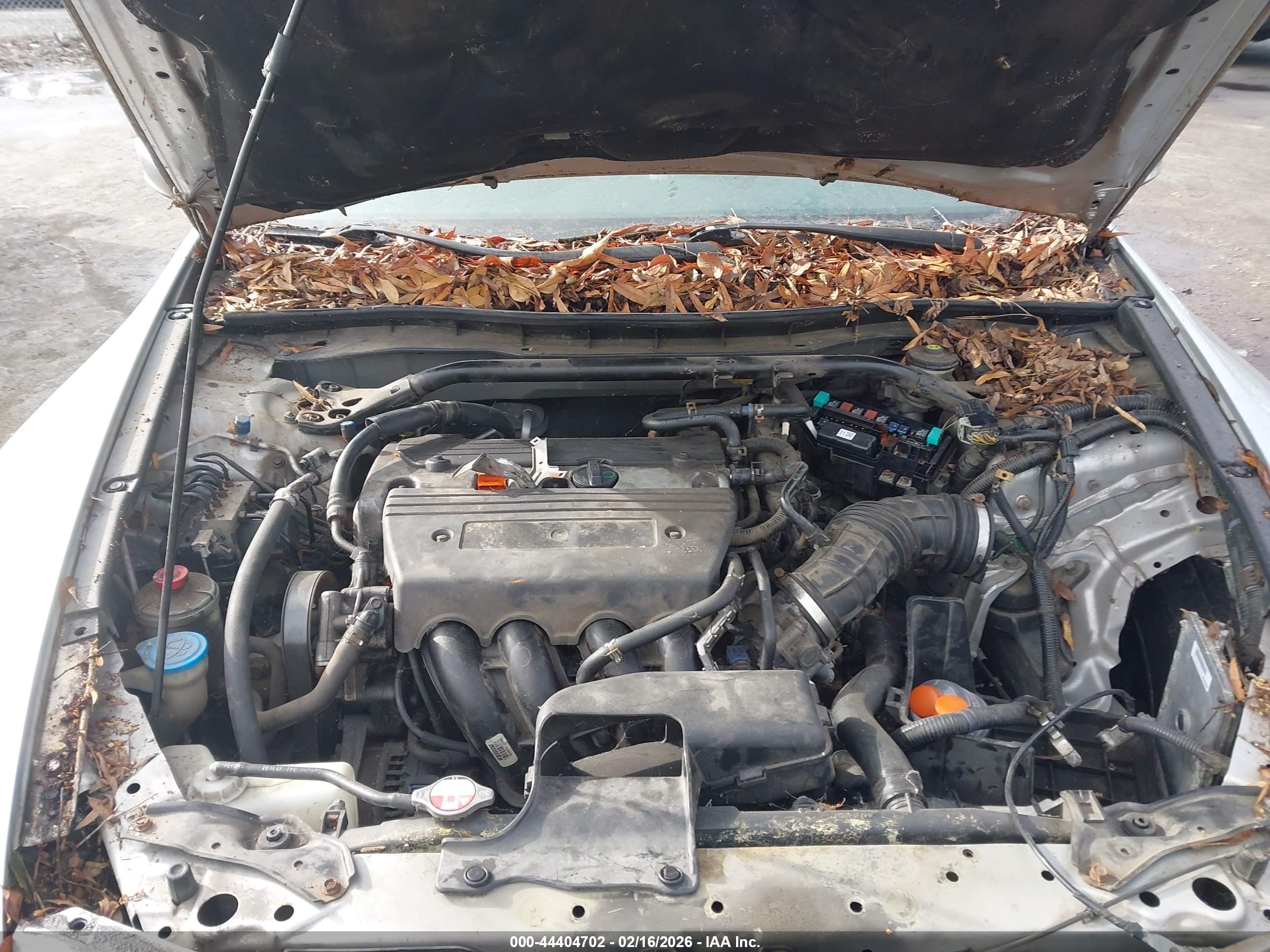 HONDA ACCORD image 10
