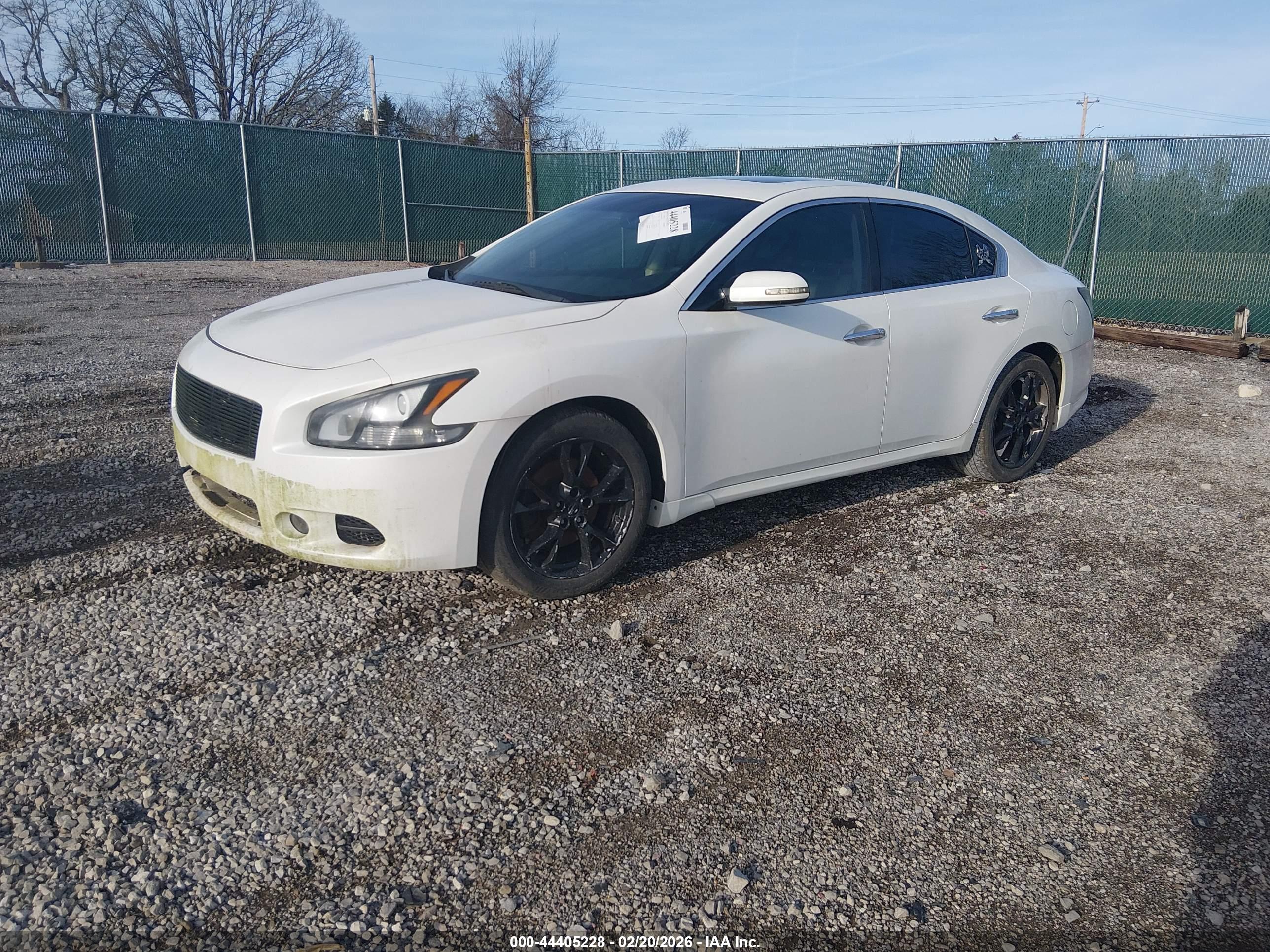 NISSAN MAXIMA image 2
