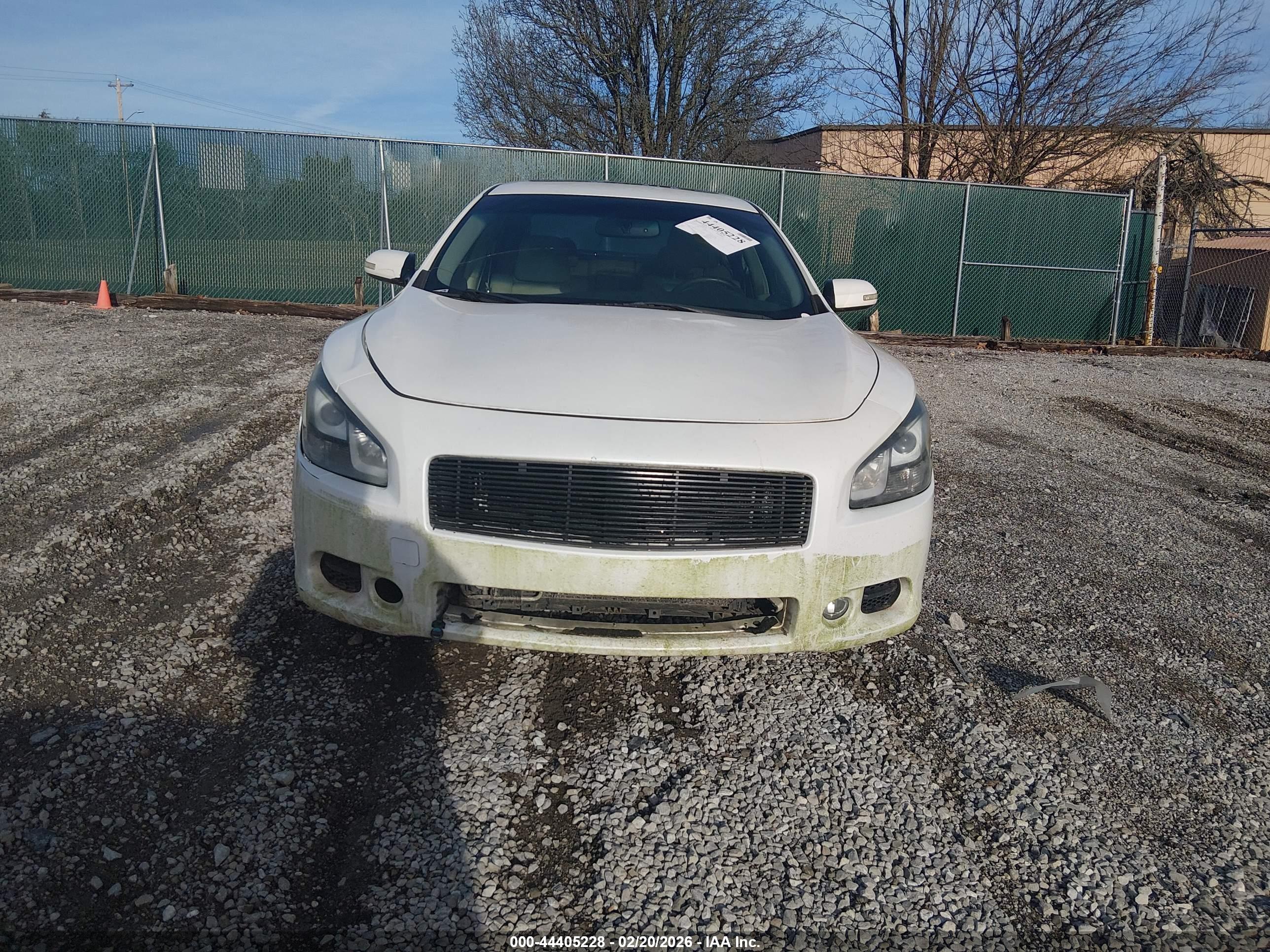 NISSAN MAXIMA image 6