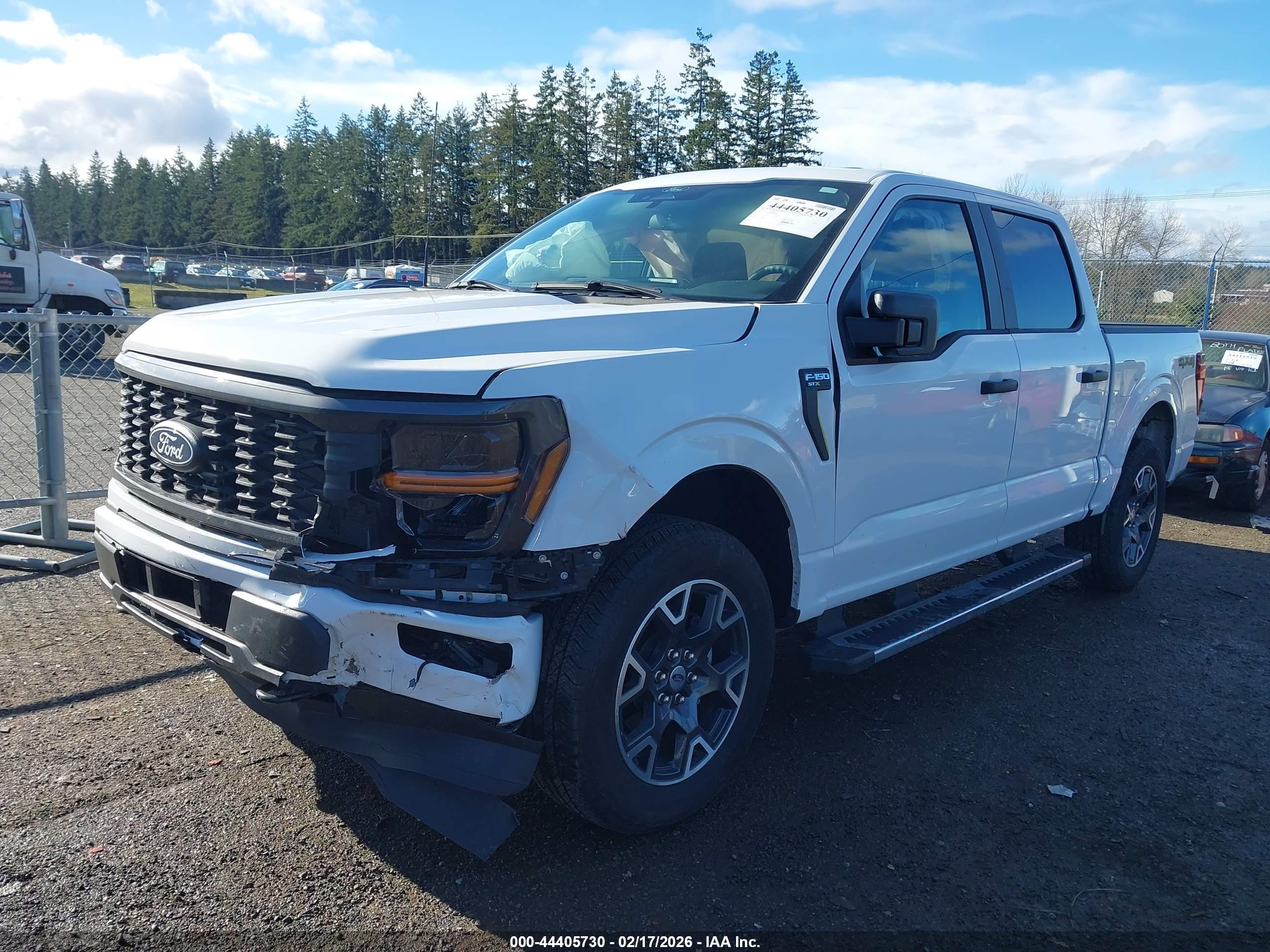 FORD F-150 image 2