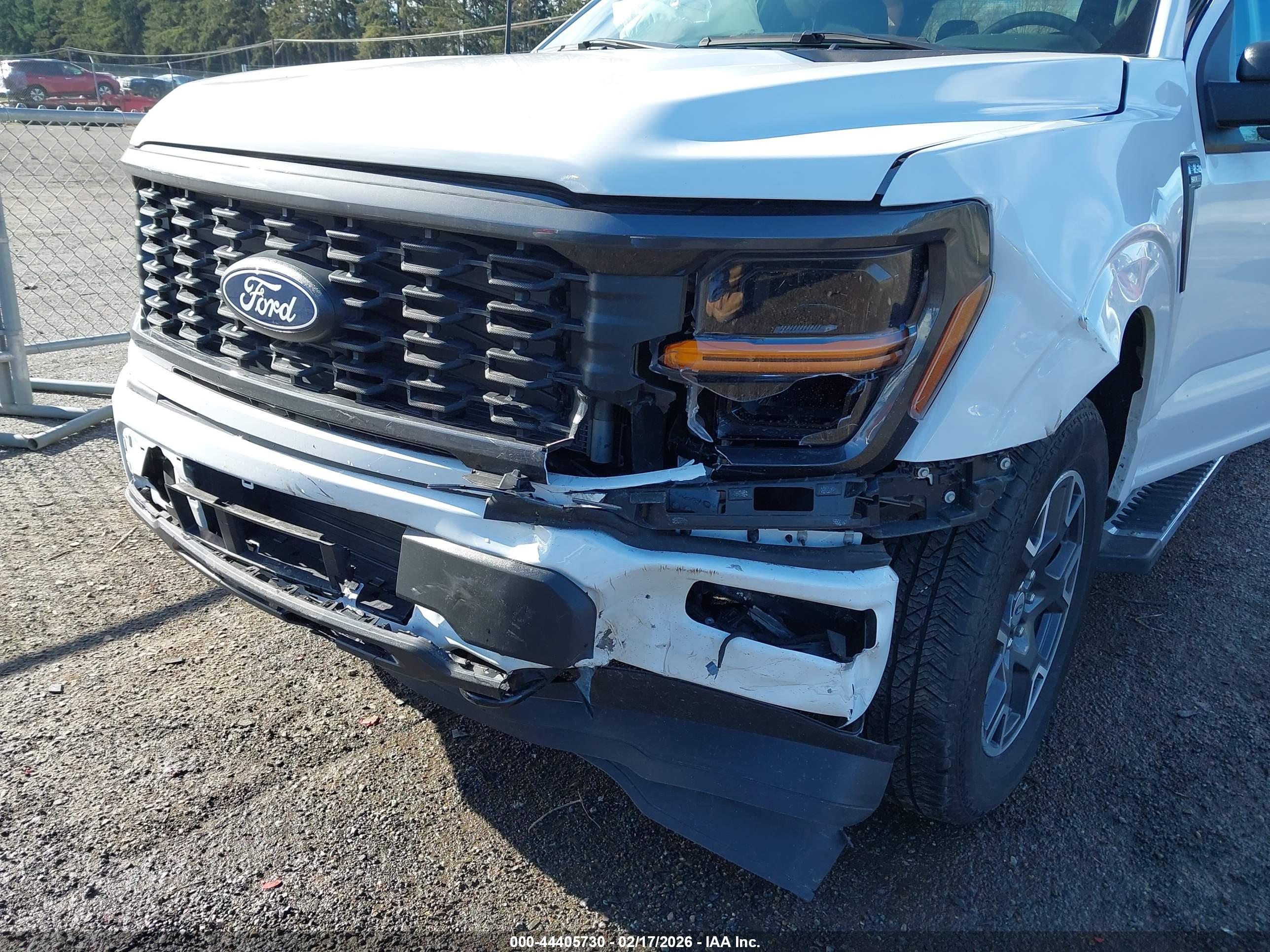 FORD F-150 image 6