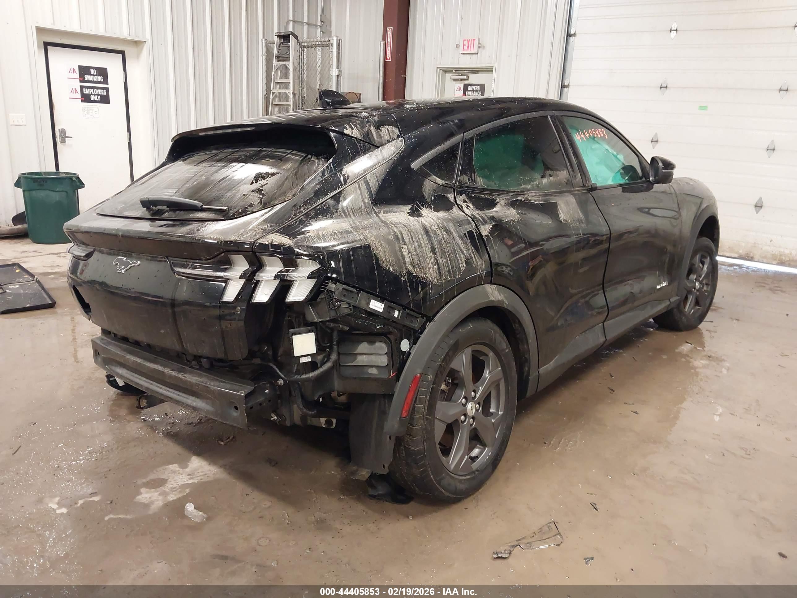 FORD MUSTANG image 4