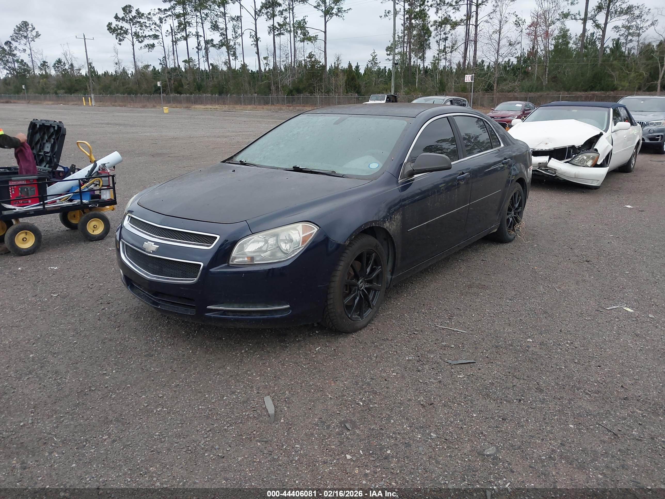 CHEVROLET MALIBU image 2