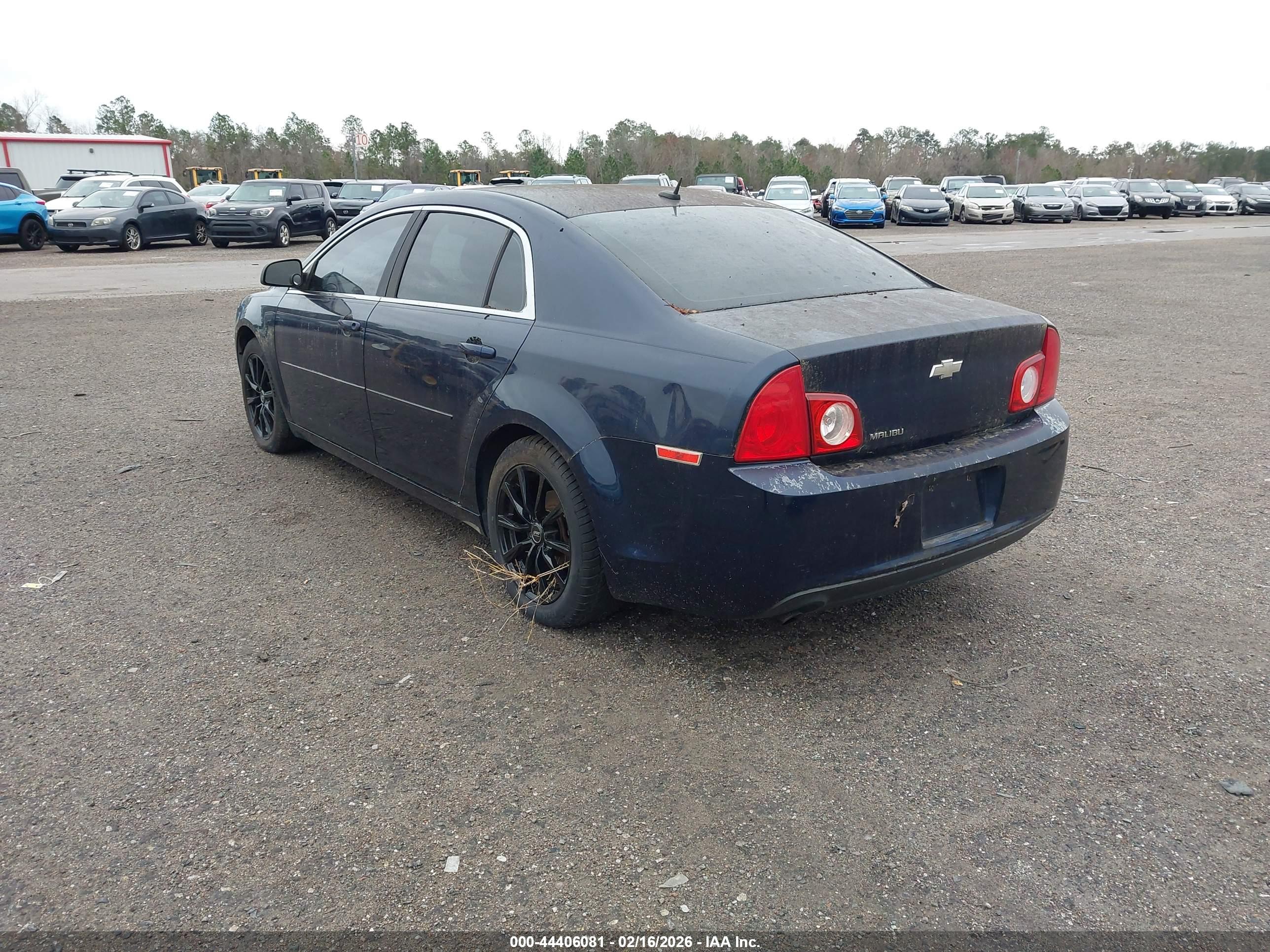 CHEVROLET MALIBU image 3