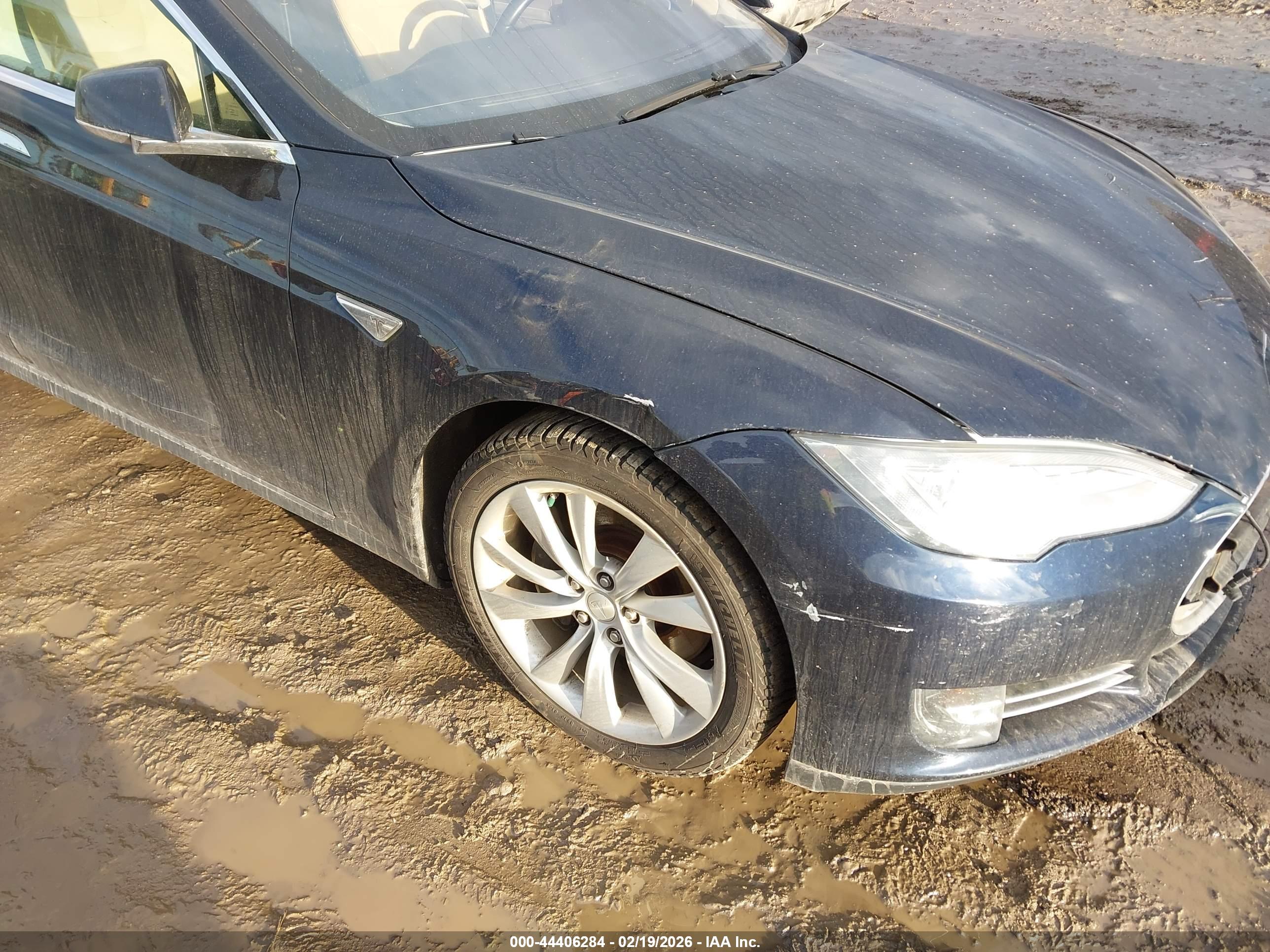 TESLA MODEL image 6