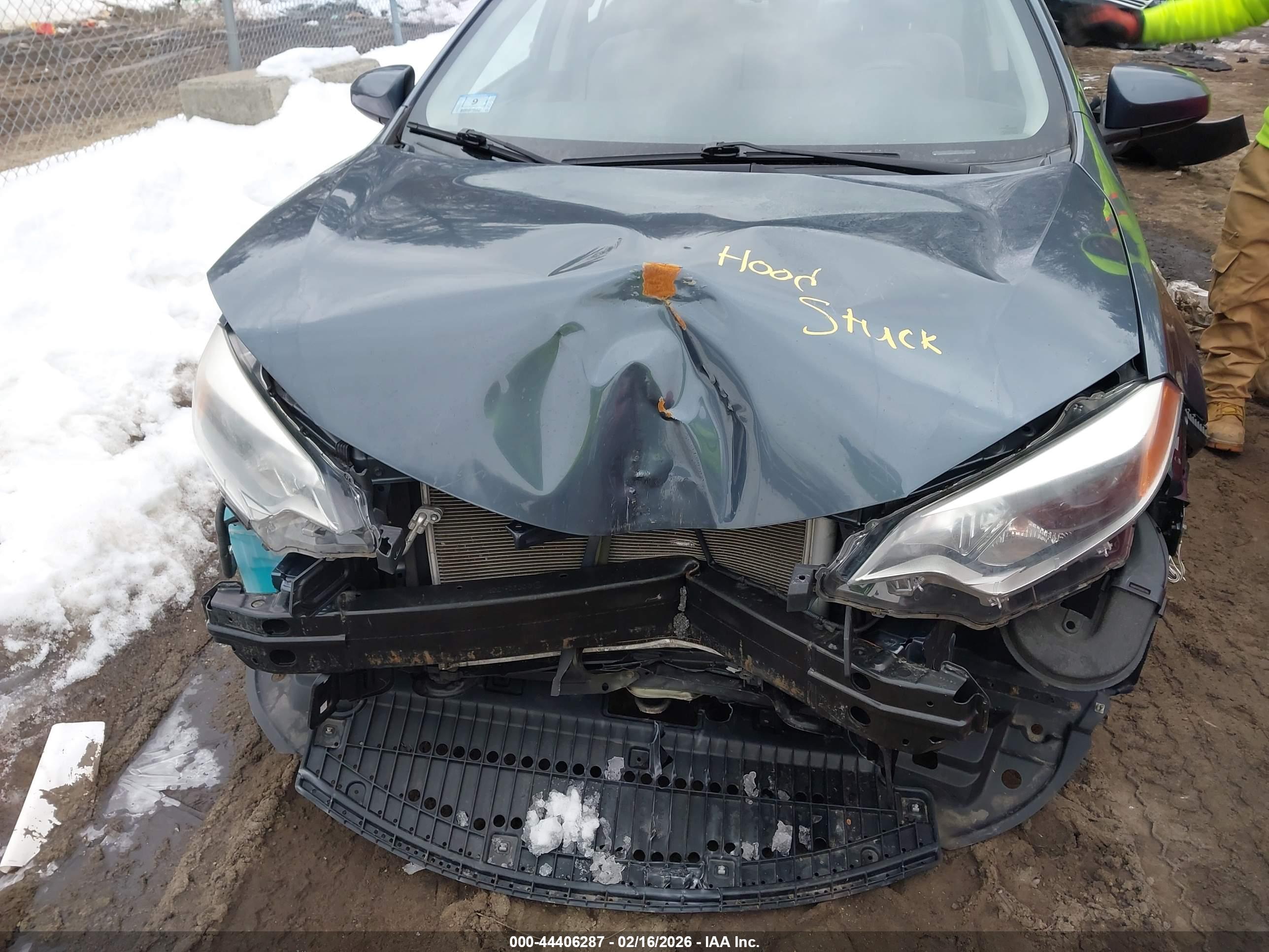 TOYOTA COROLLA image 6