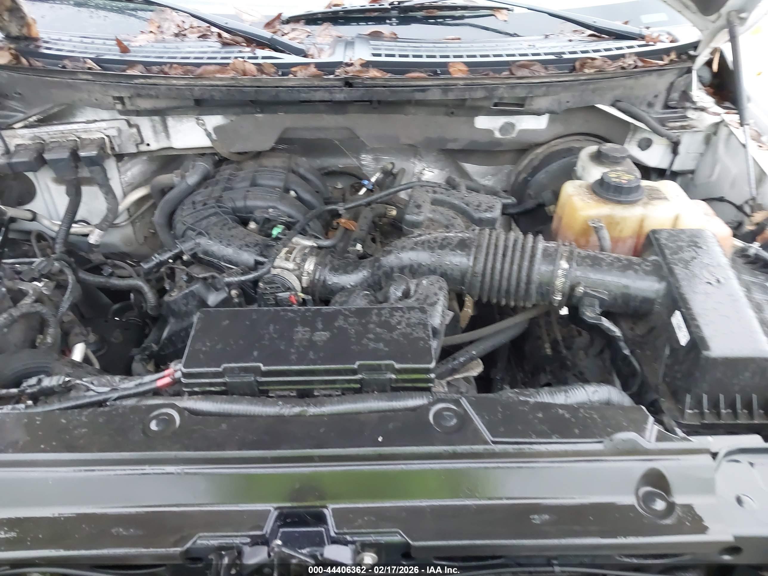 FORD F-150 image 10