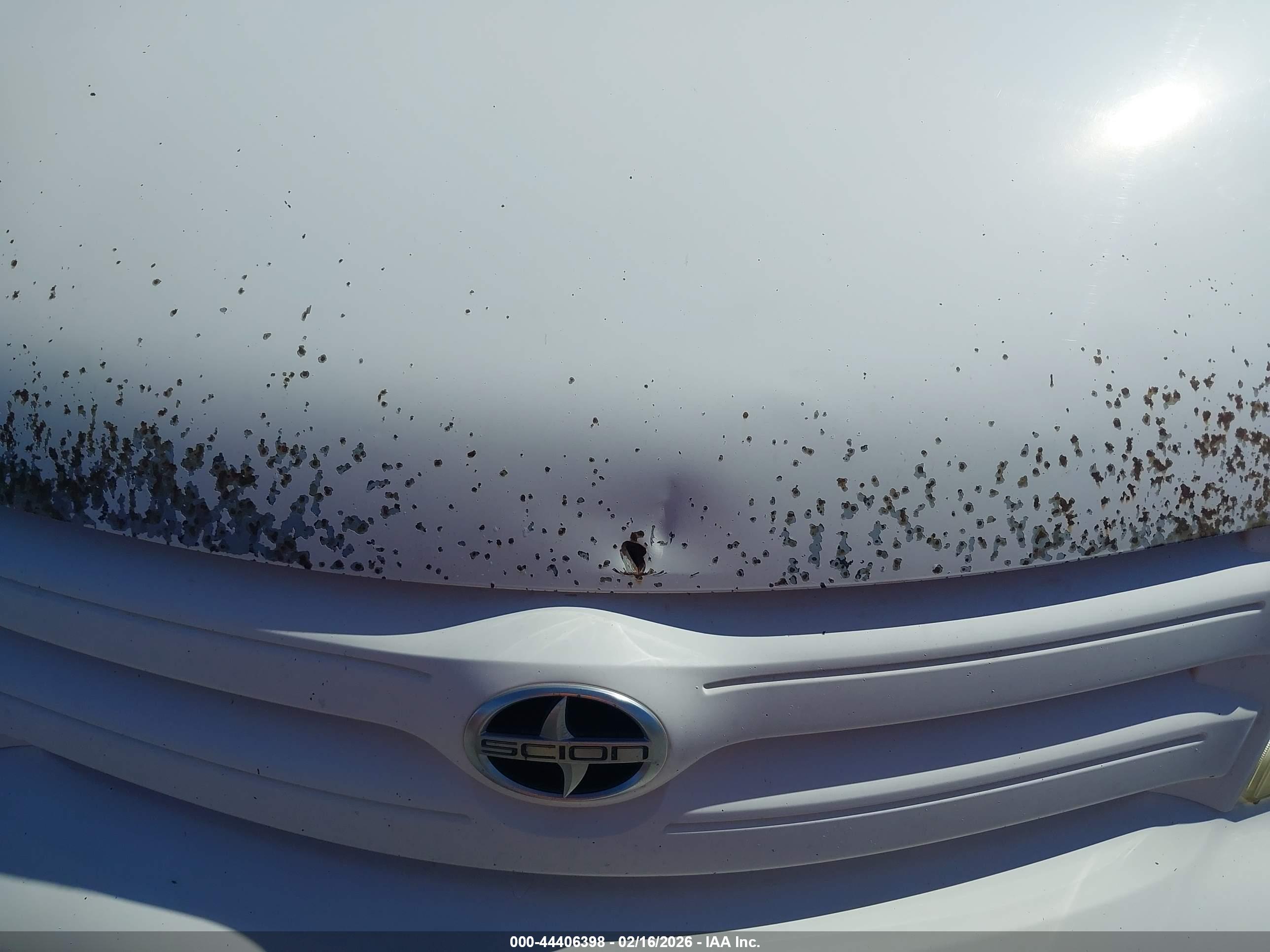 SCION XA image 6