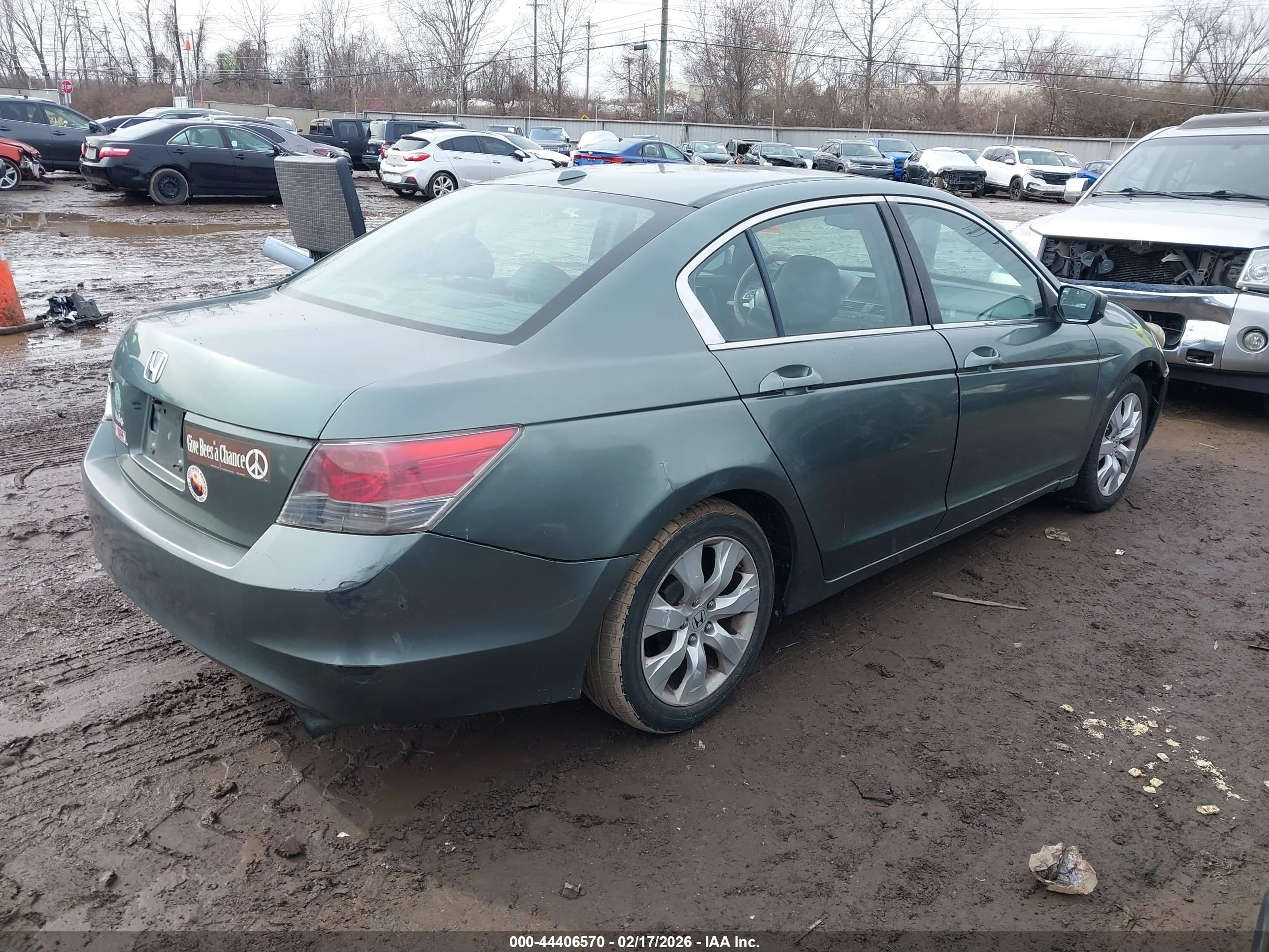HONDA ACCORD image 4