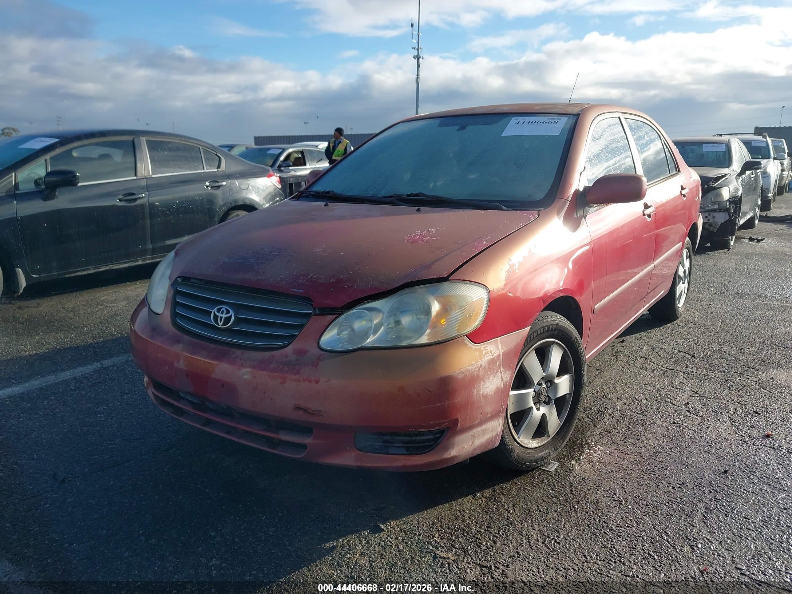 TOYOTA COROLLA image 2