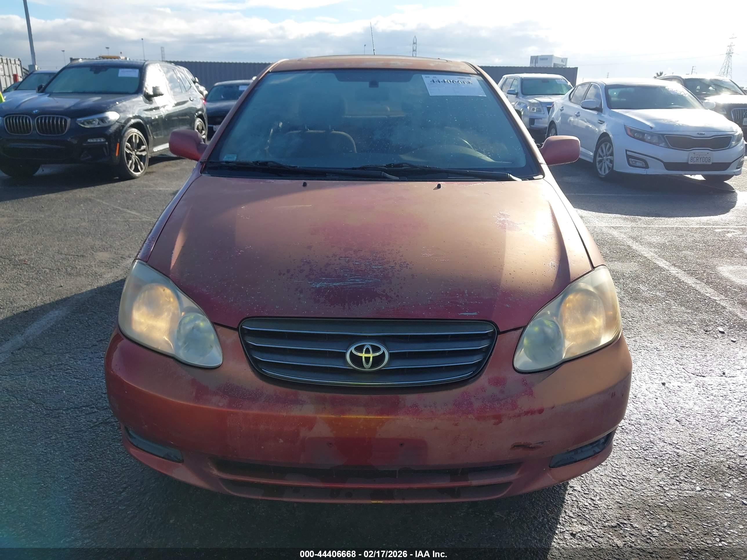 TOYOTA COROLLA image 6